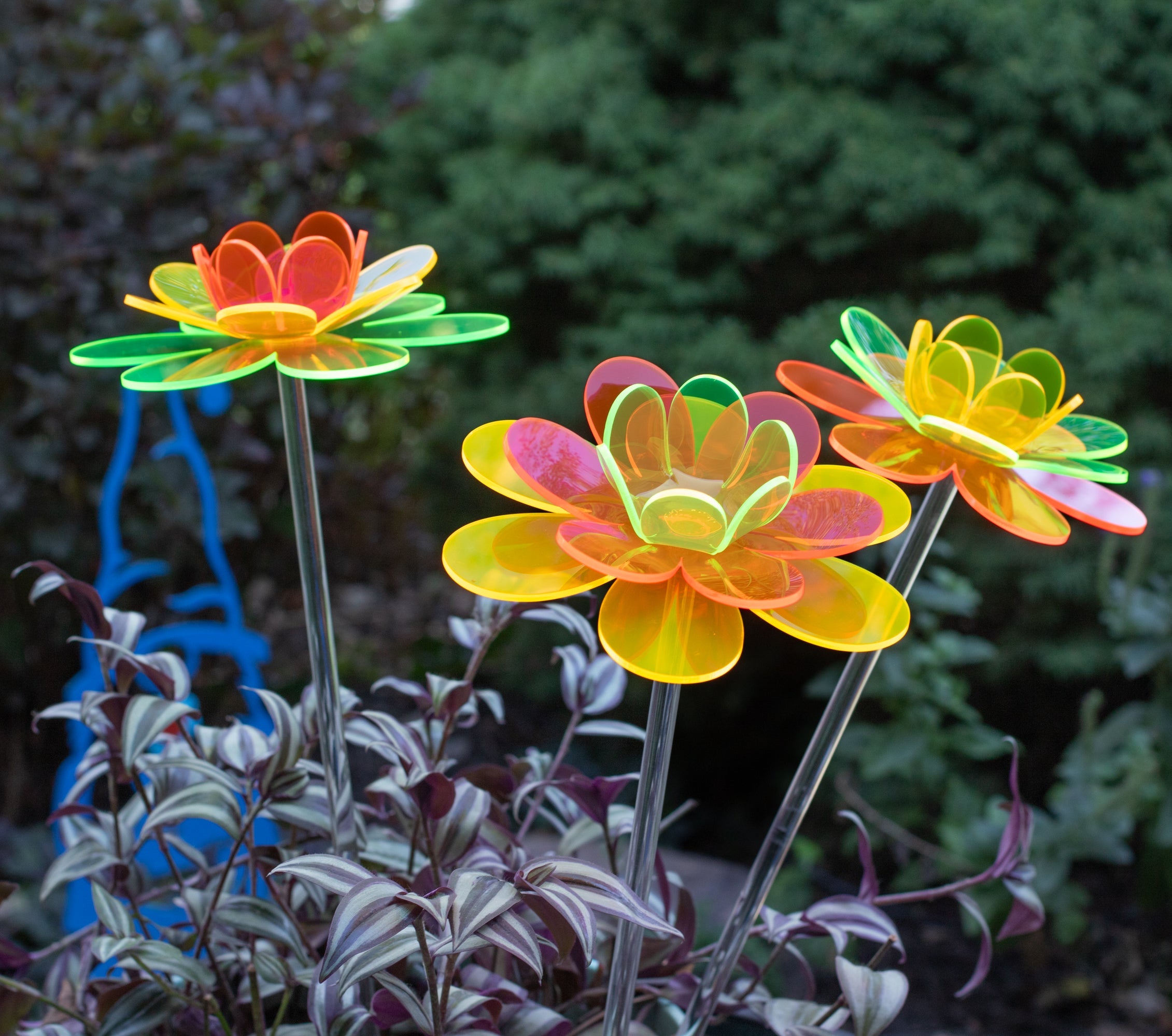 Garden & Home – The Colored Petal