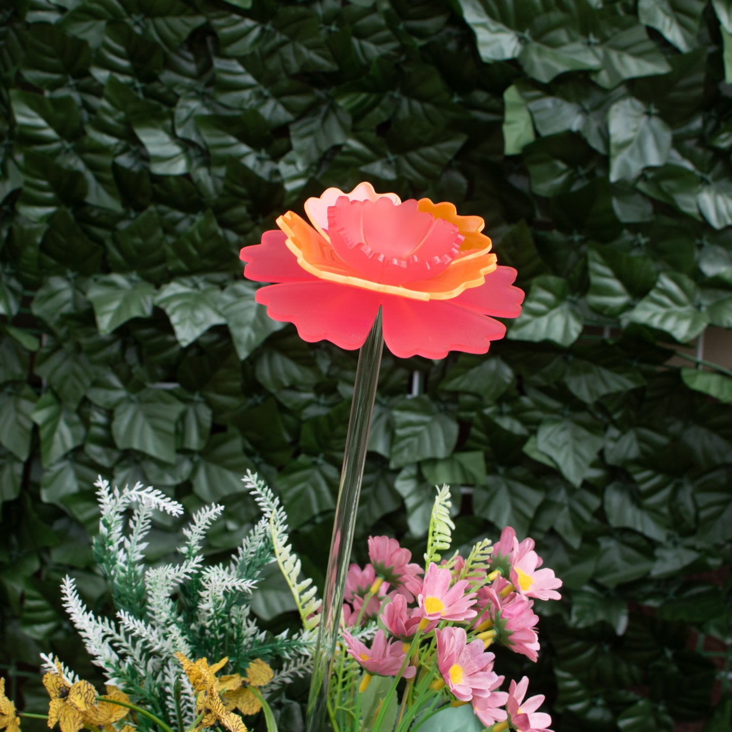 Mother's Day Carnation - 2025 Limited Edition