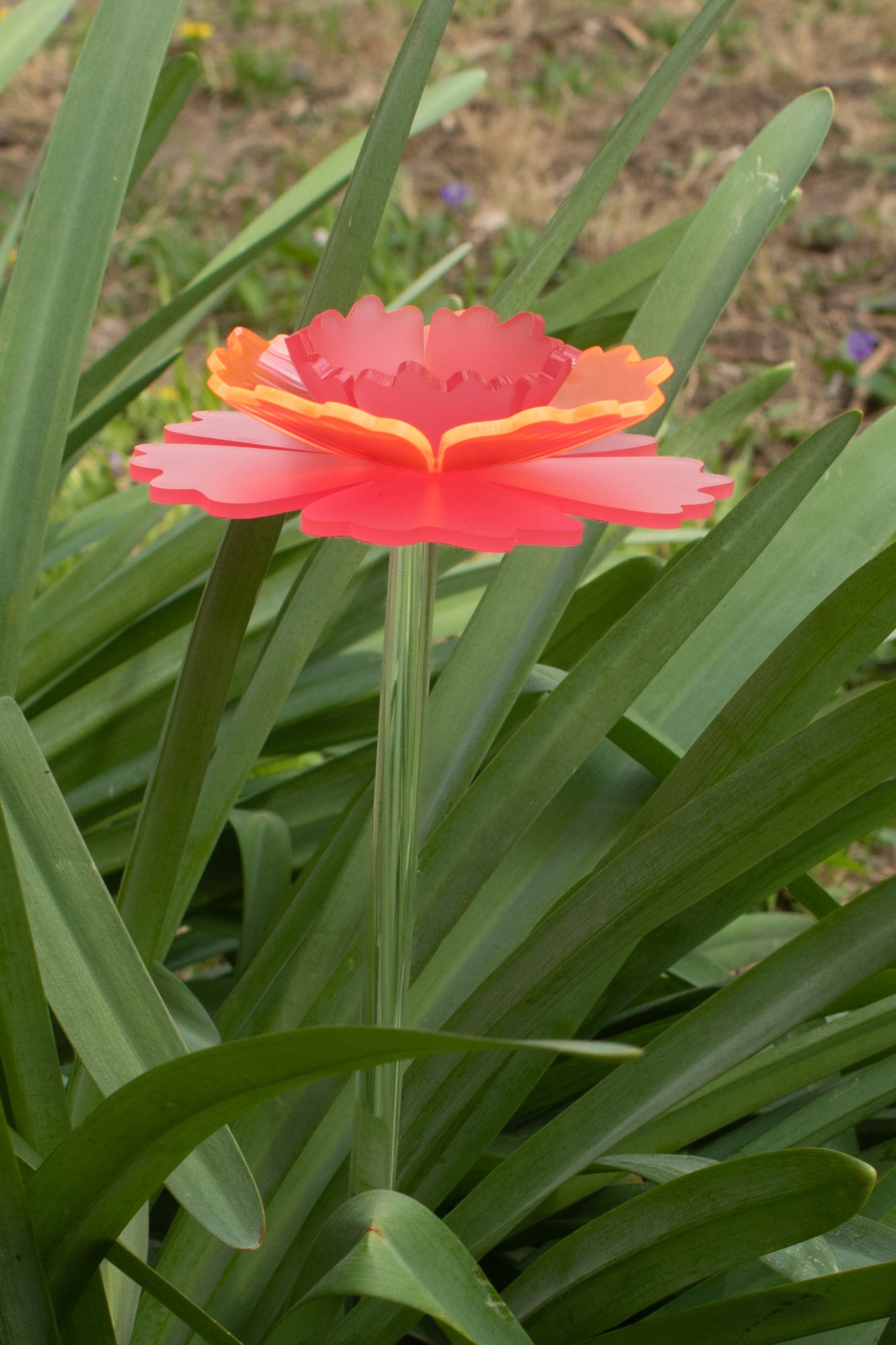 Mother's Day Carnation - 2025 Limited Edition