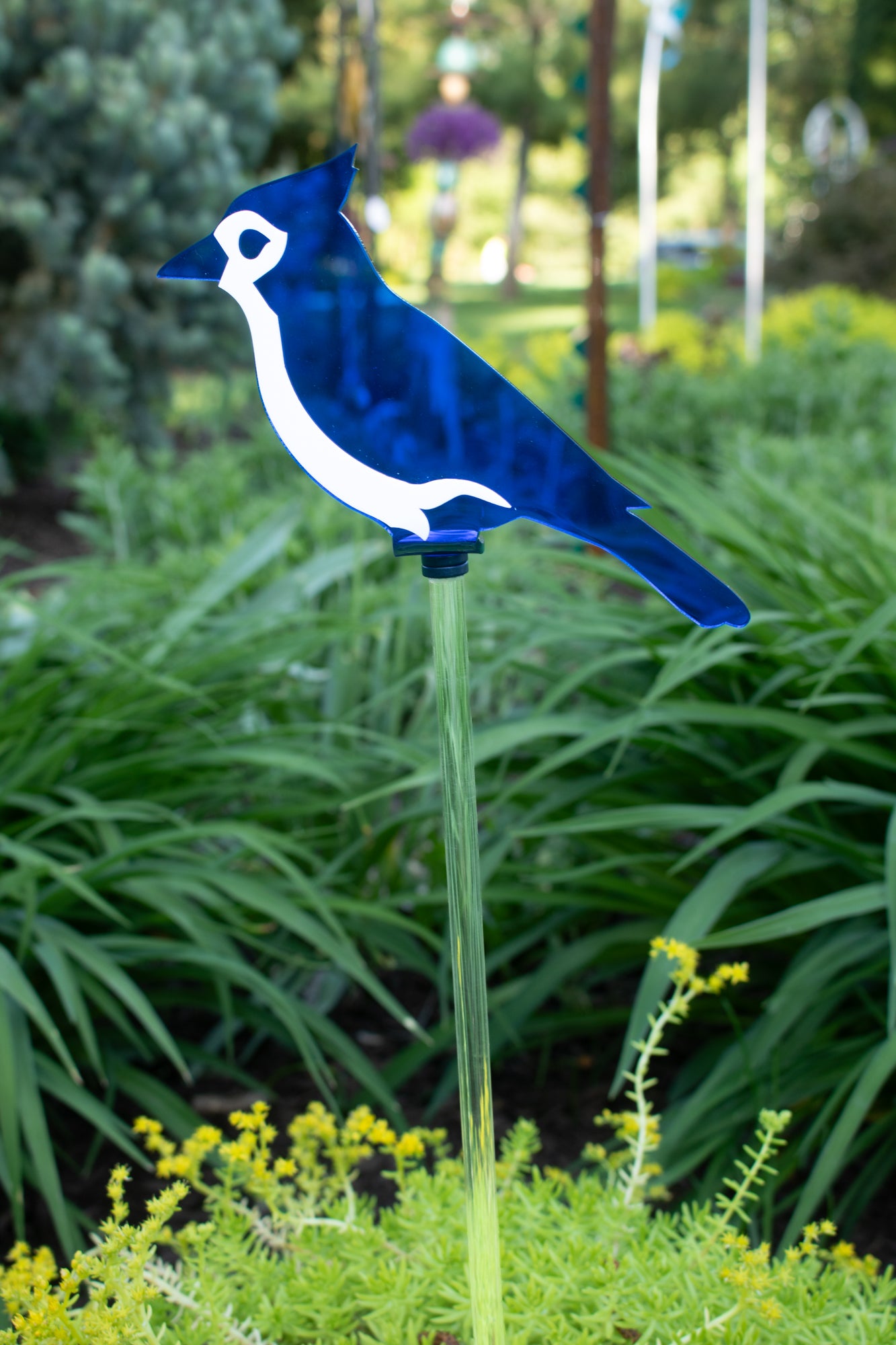 Blue Jay stake