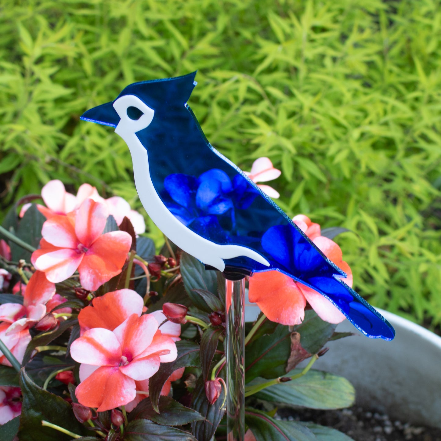 Blue Jay stake