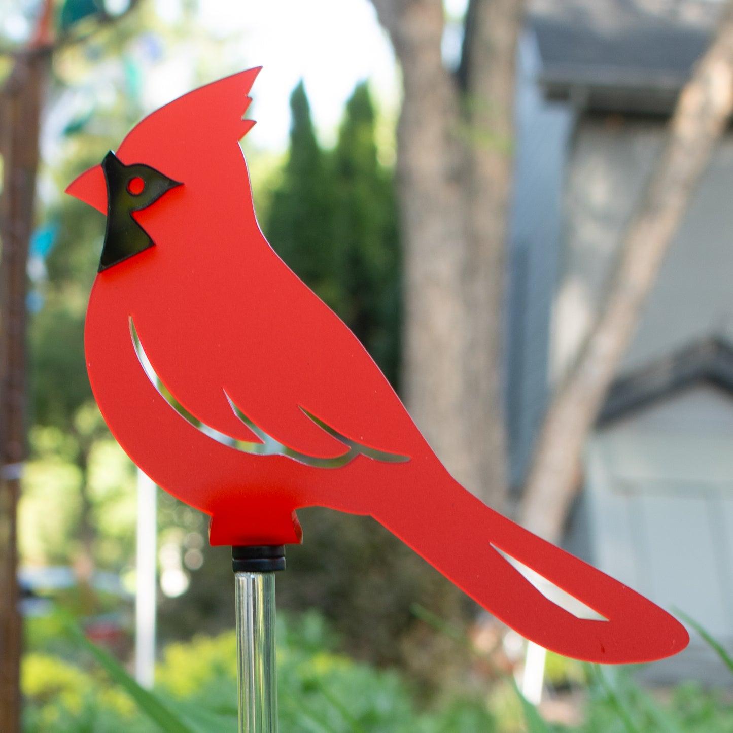 Cardinal - Frosted Red