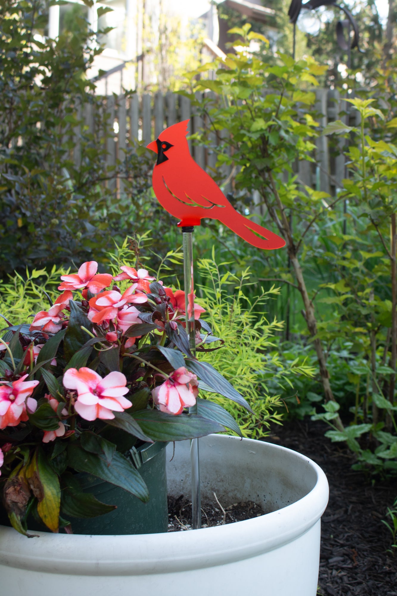 Cardinal - Frosted Red