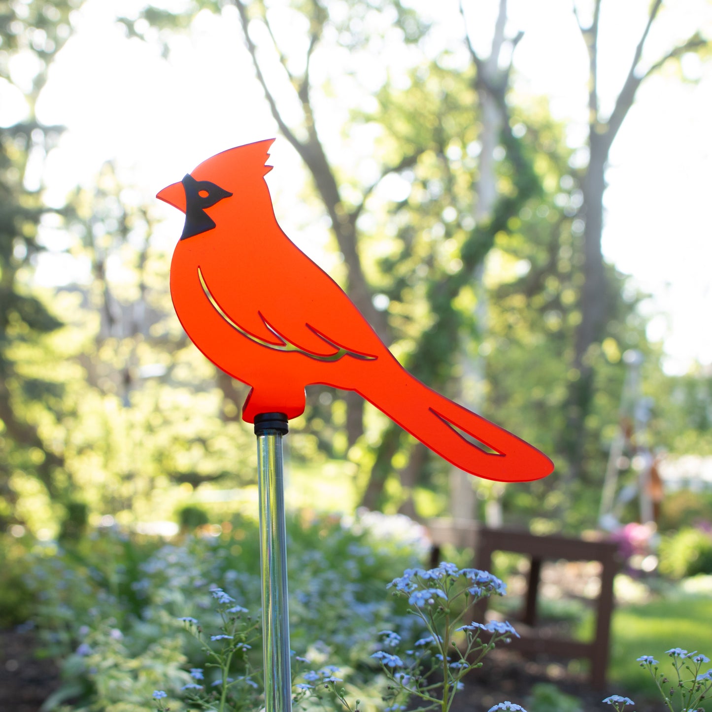 Cardinal - Frosted Red