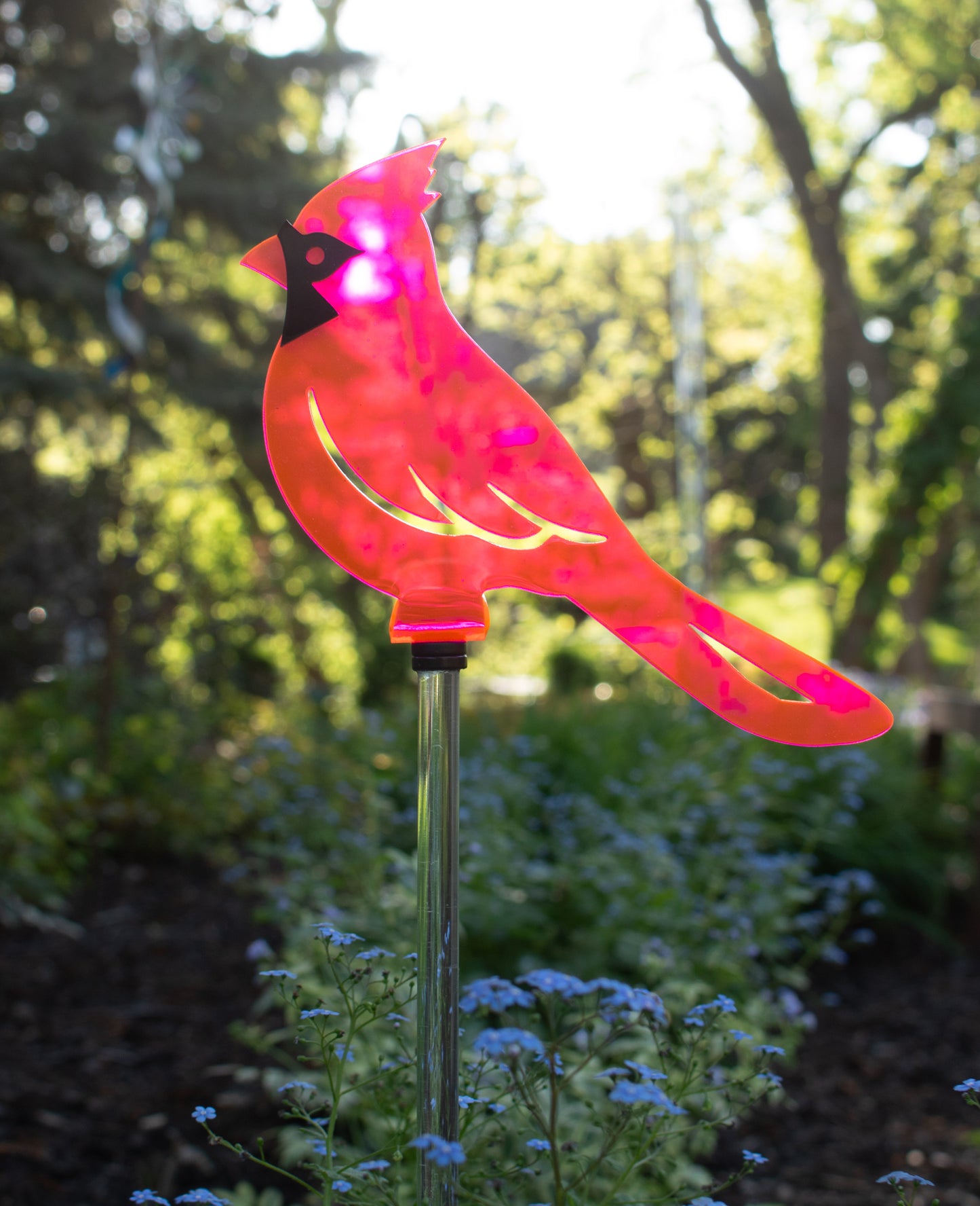 Cardinal - Fluorescent Pink