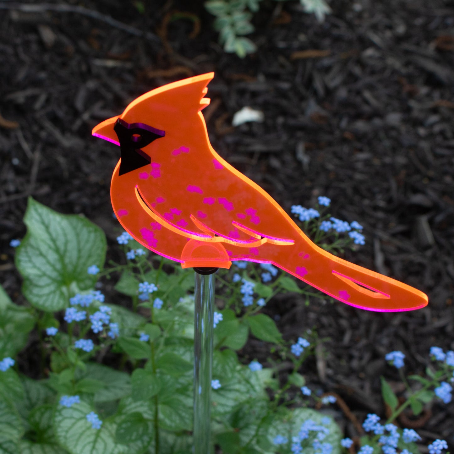 Cardinal - Fluorescent Pink