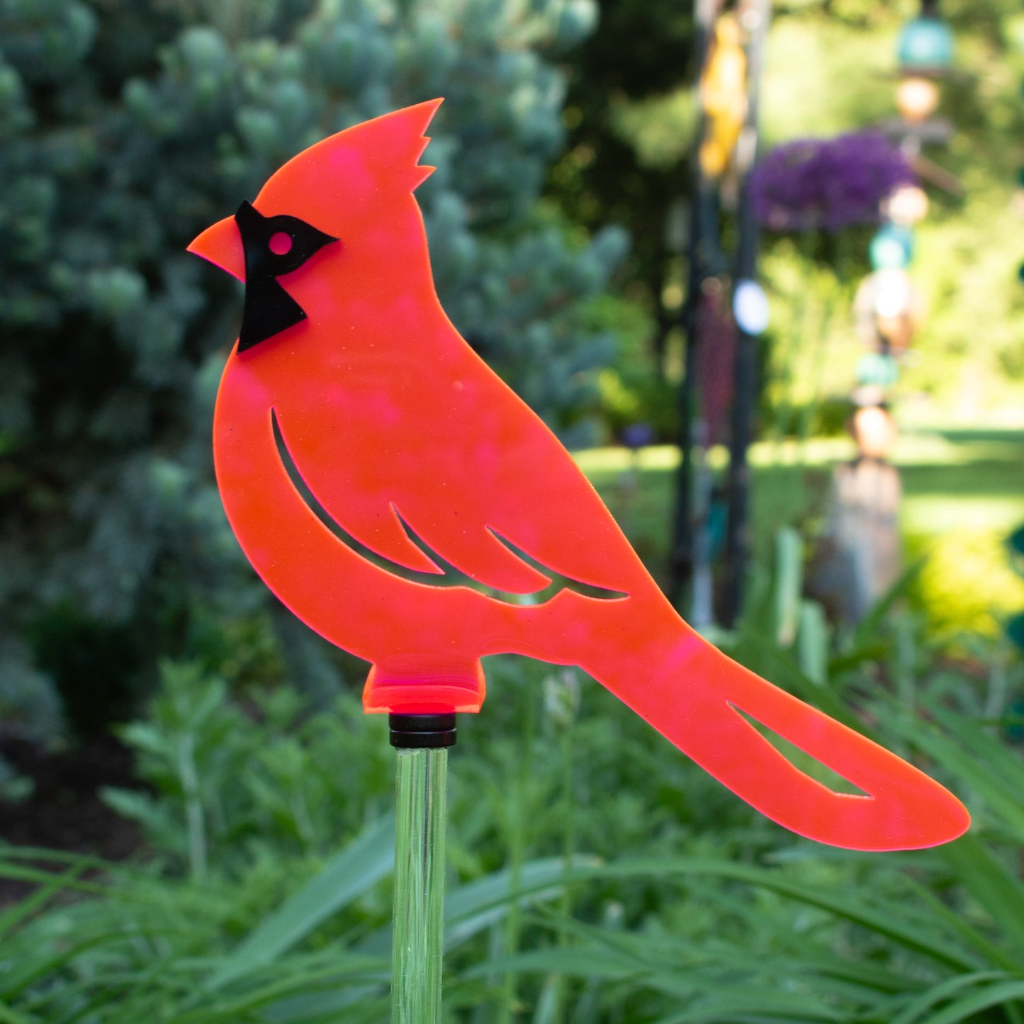 Cardinal - Fluorescent Pink