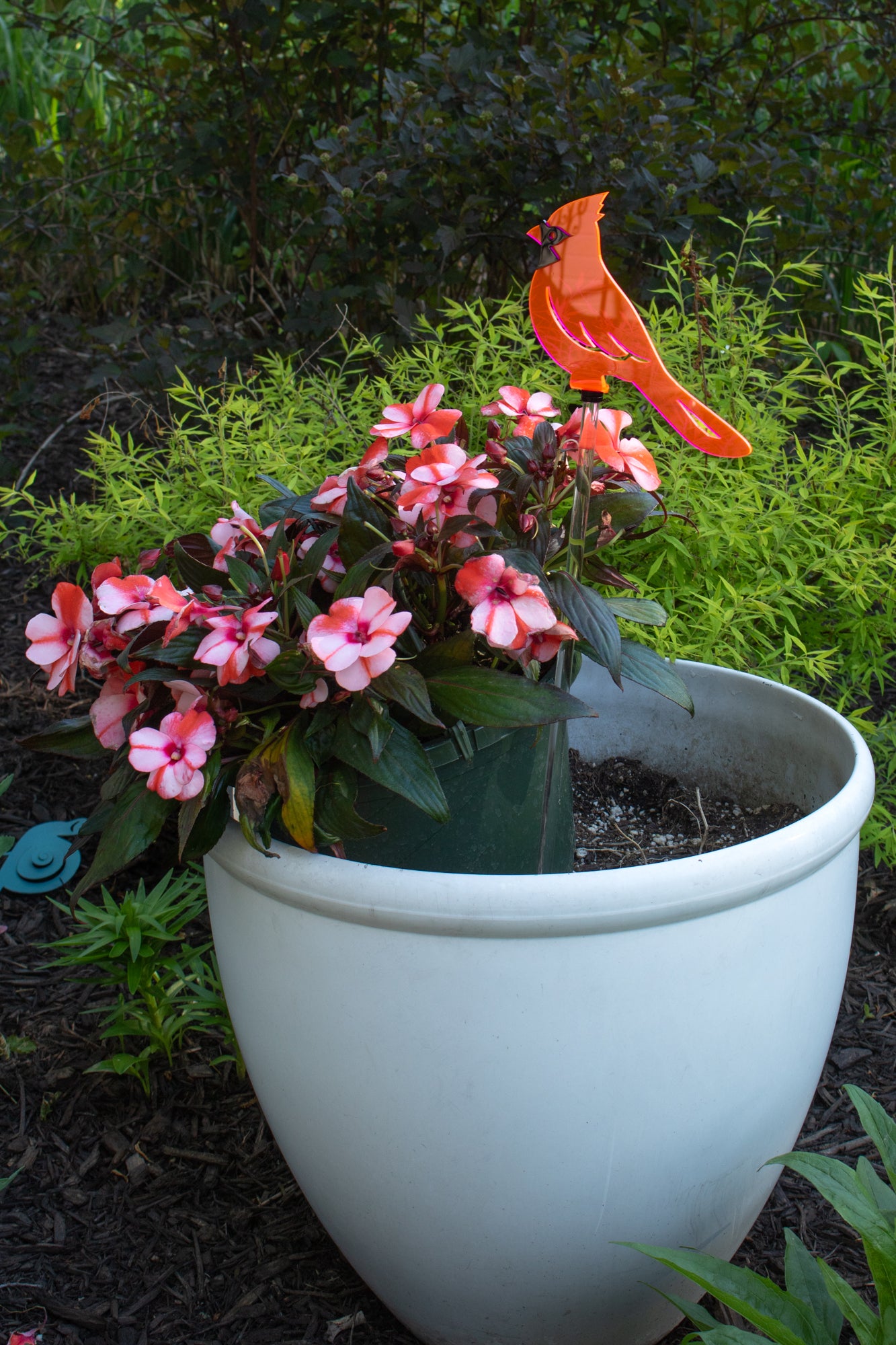 Cardinal - Fluorescent Pink