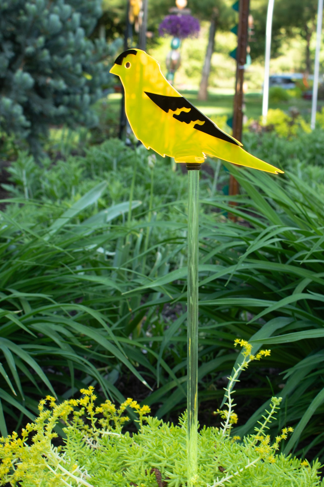 Gold Finch stake