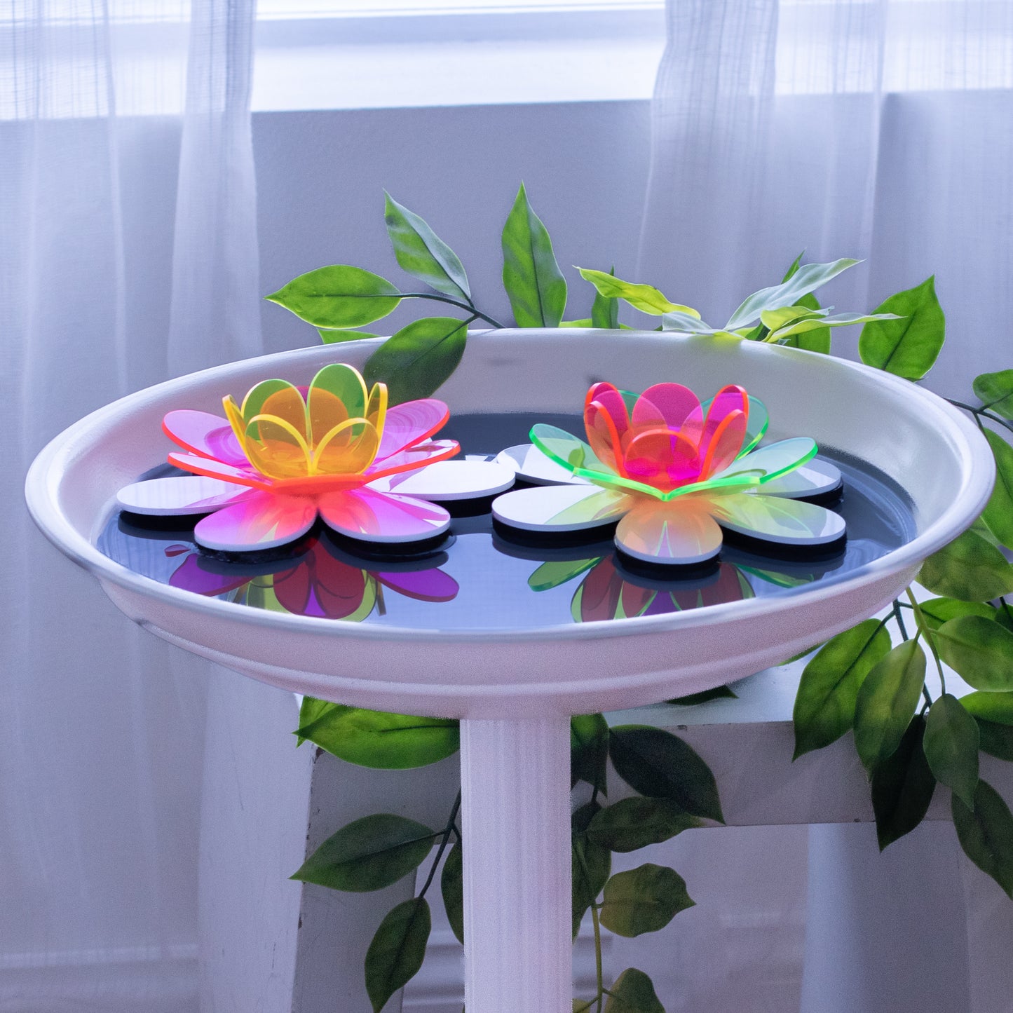 Floating Lotus - Pink & yellow