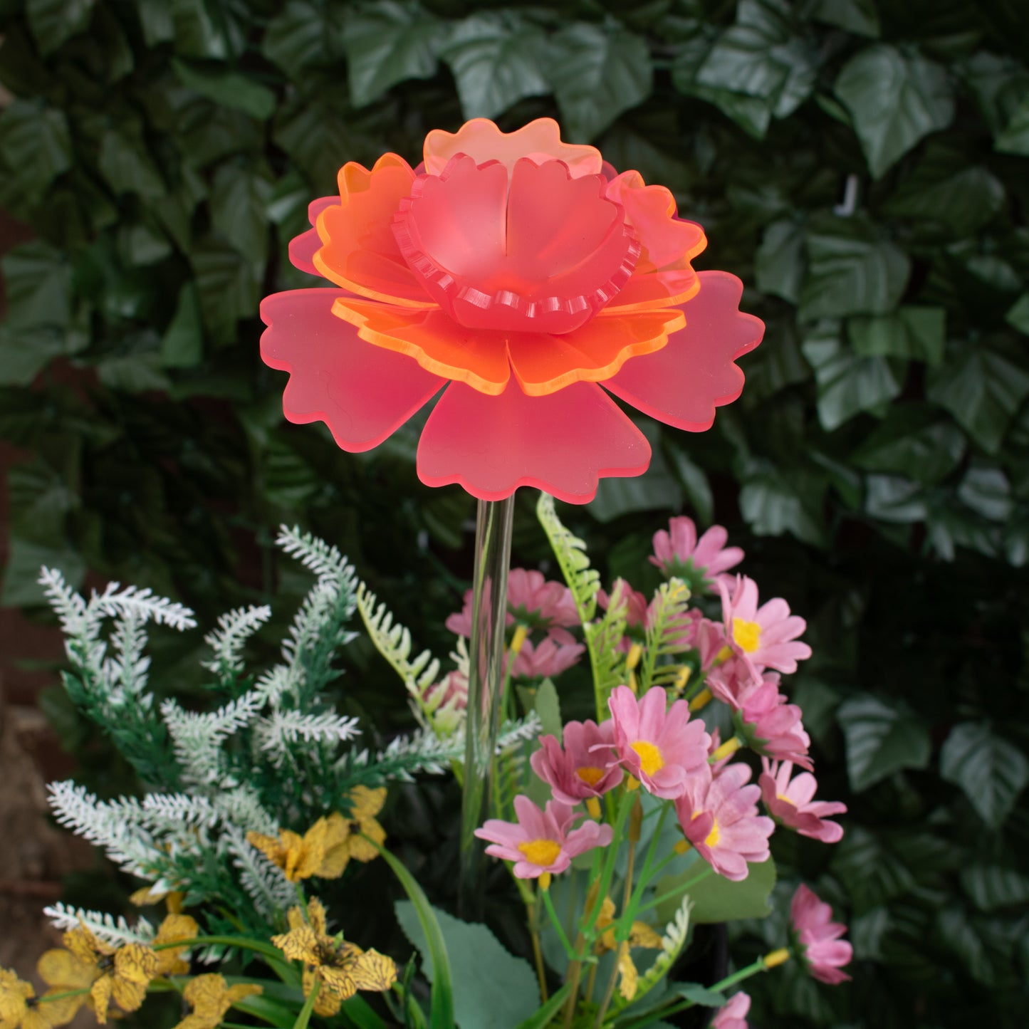 Mother's Day Carnation - 2025 Limited Edition