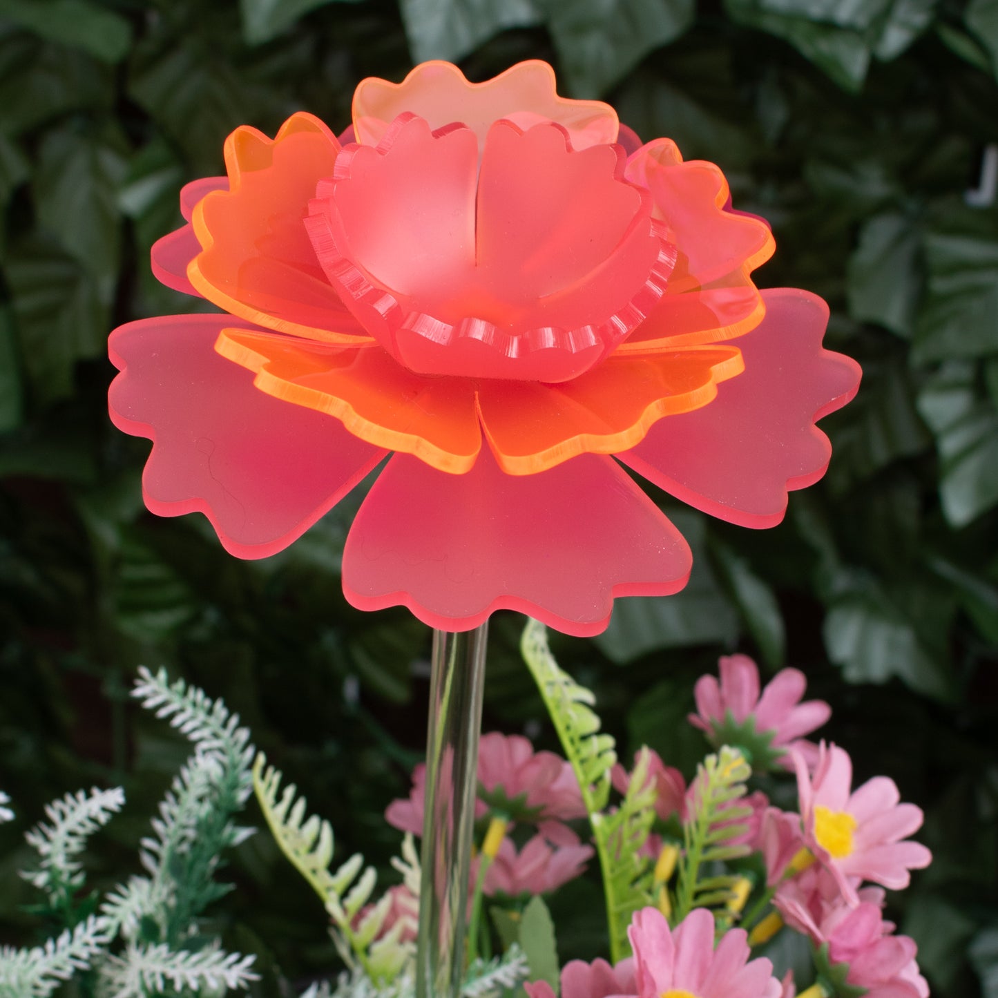 Mother's Day Carnation - 2025 Limited Edition
