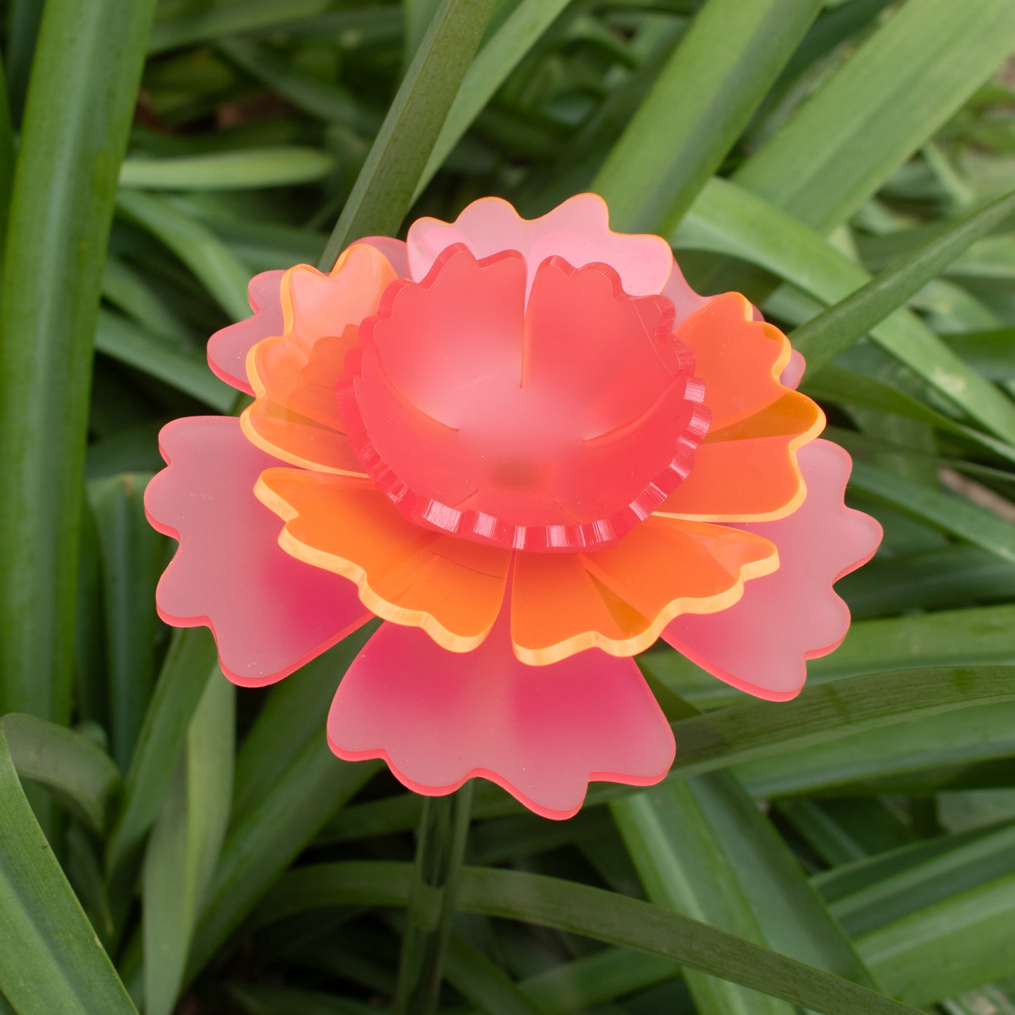Mother's Day Carnation - 2025 Limited Edition
