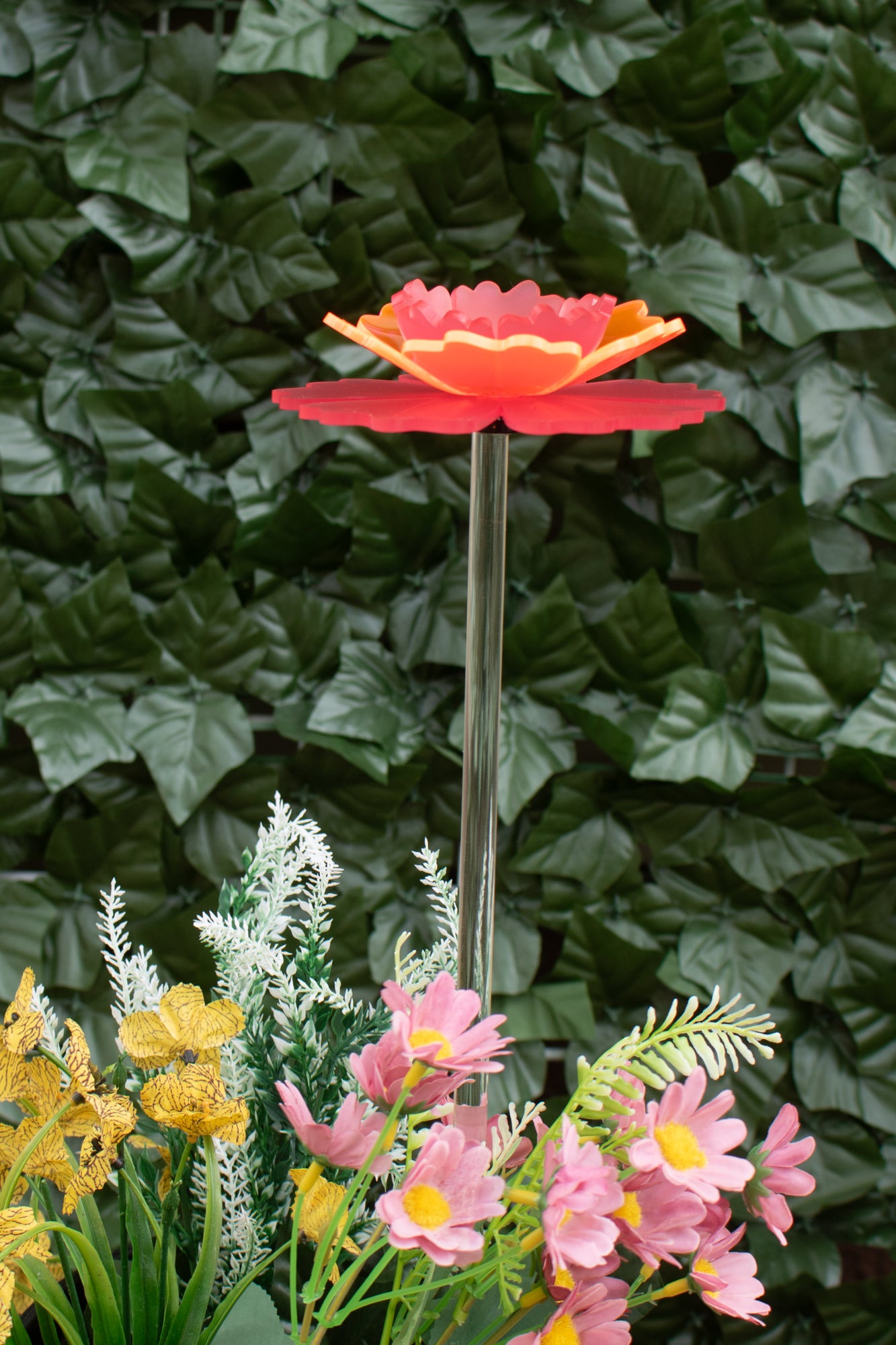Mother's Day Carnation - 2025 Limited Edition