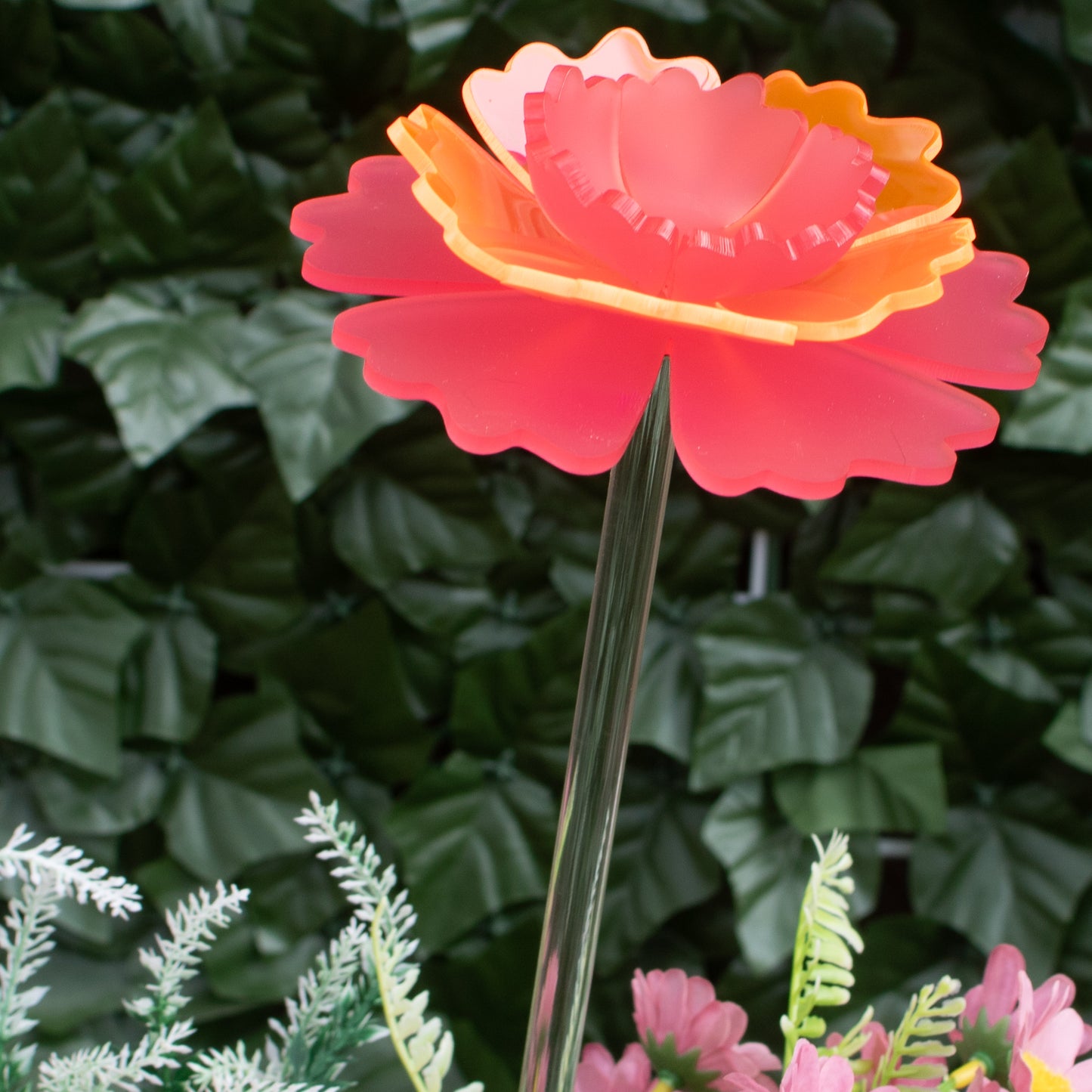 Mother's Day Carnation - 2025 Limited Edition