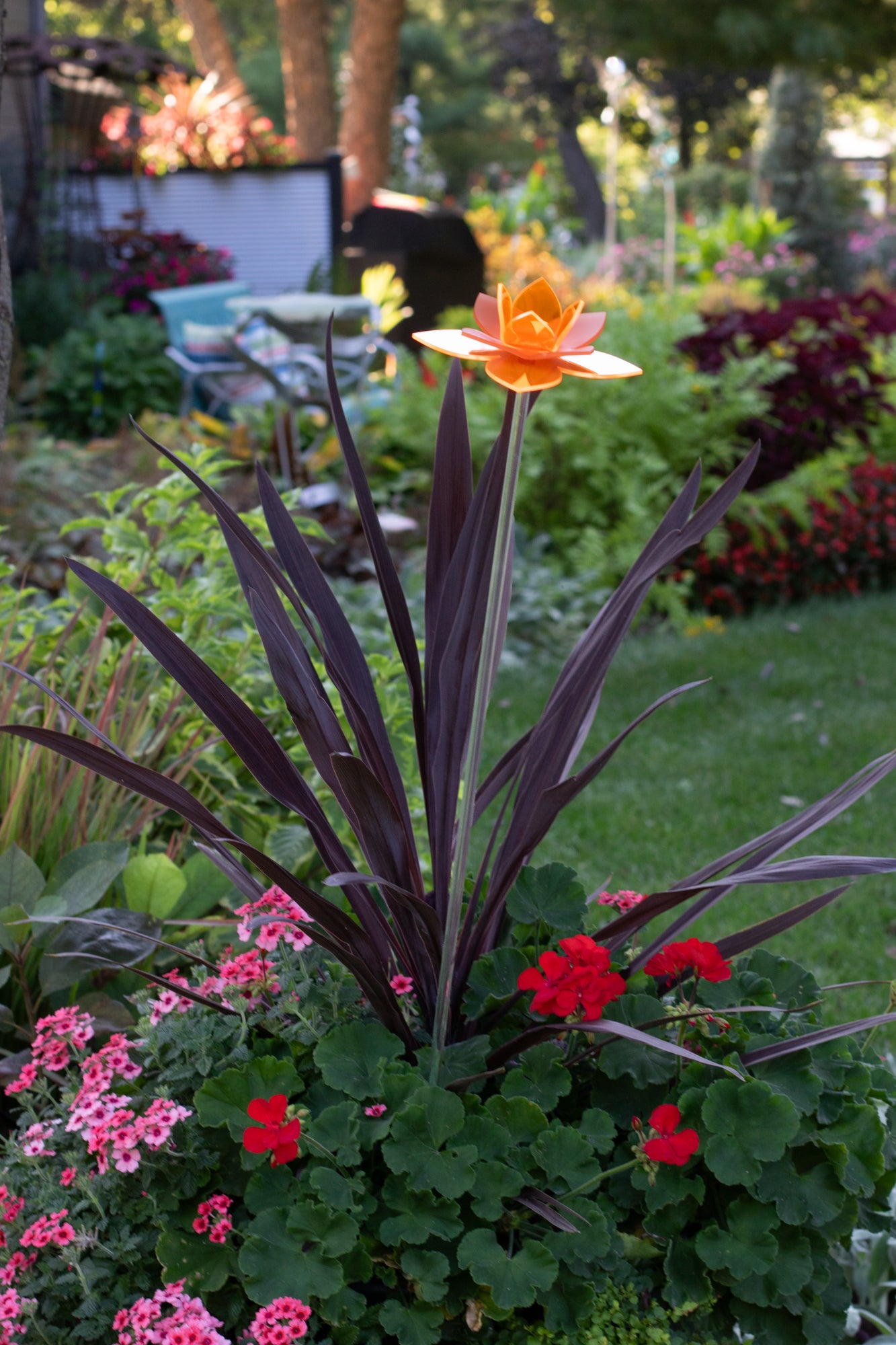 Orange Daffodil