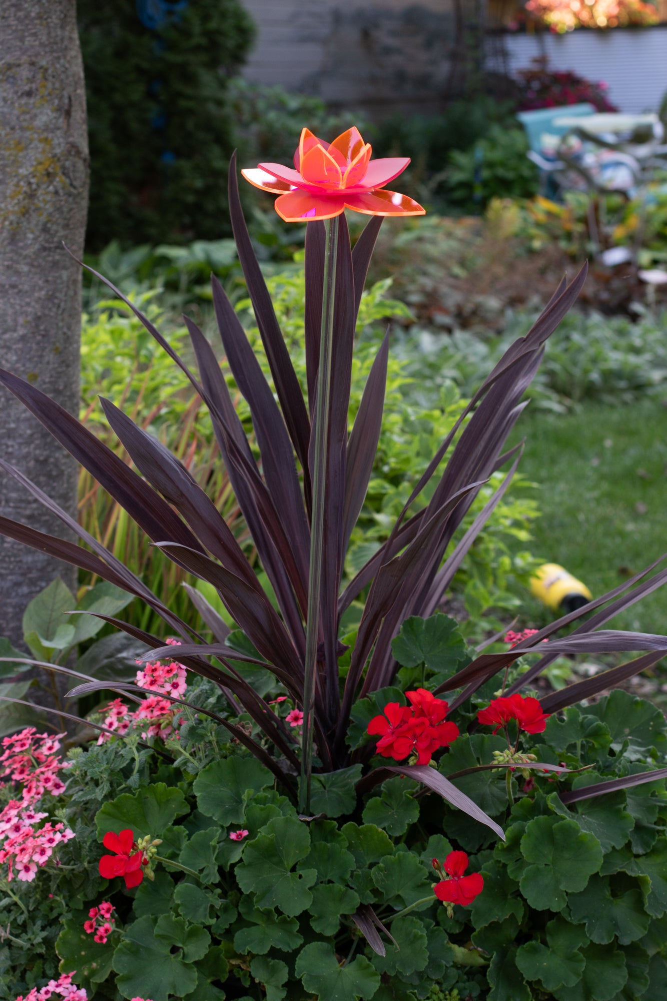 Pink Daffodil