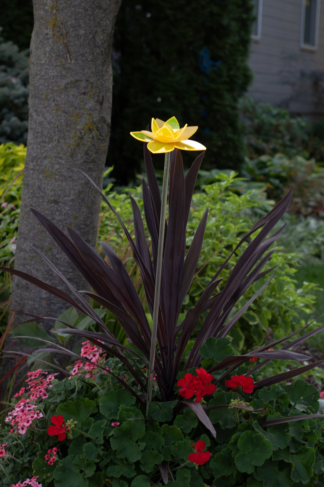 Yellow Daffodil