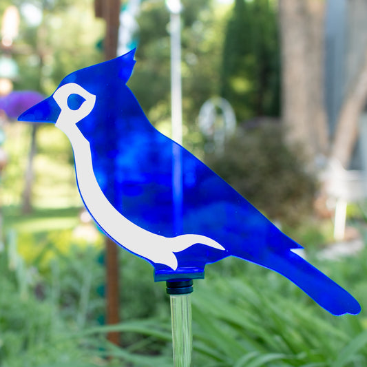 Blue Jay stake