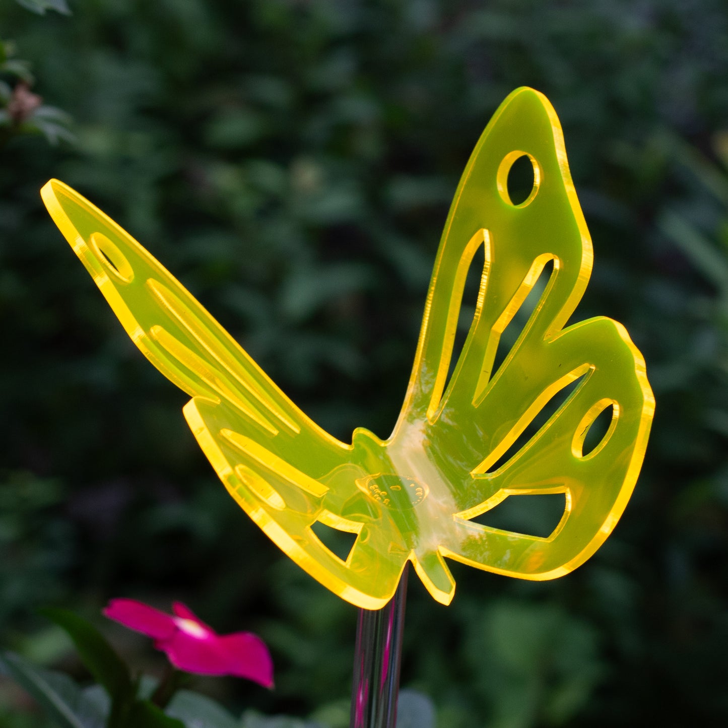 Butterfly Stake - Multi Colors