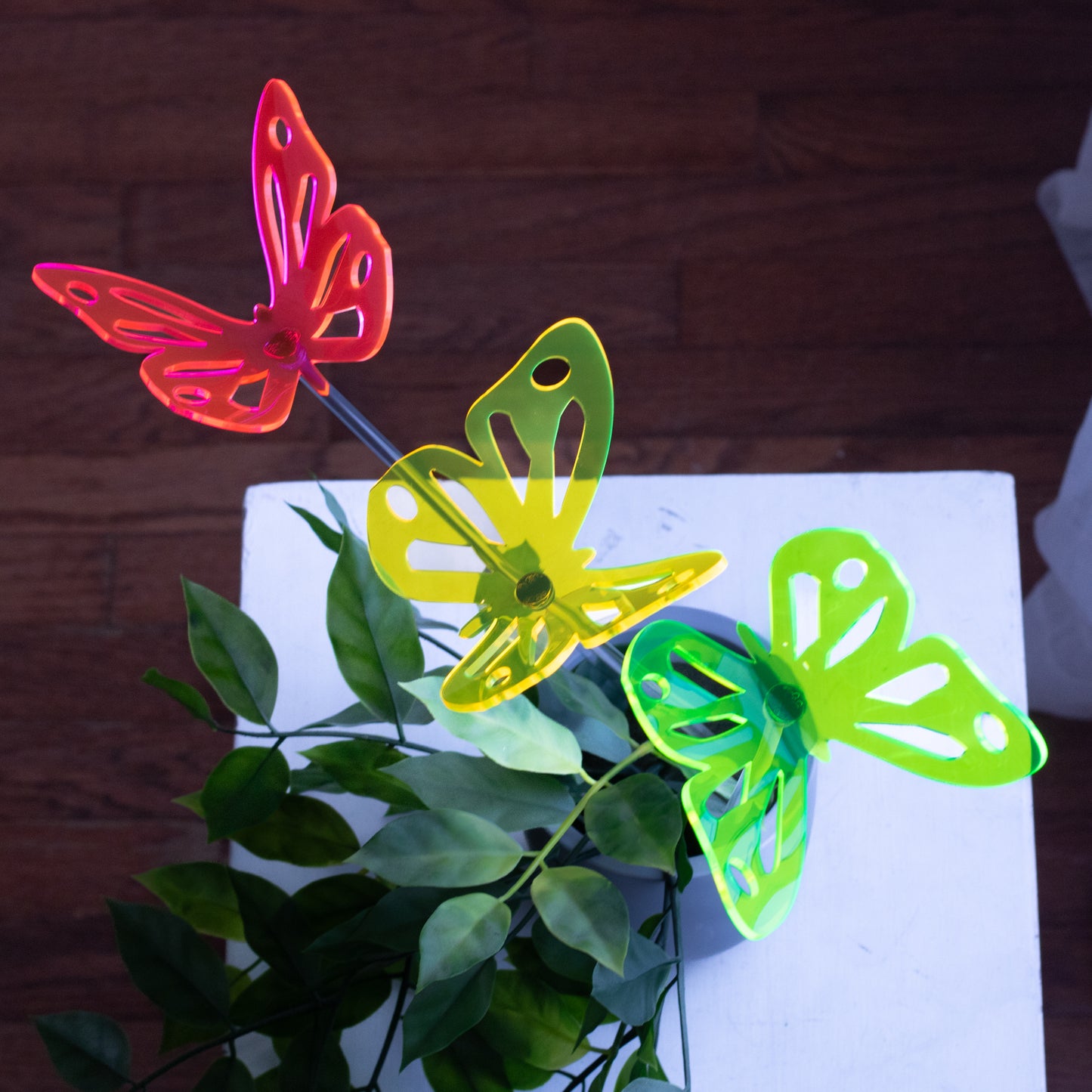 Butterfly Stake - Multi Colors