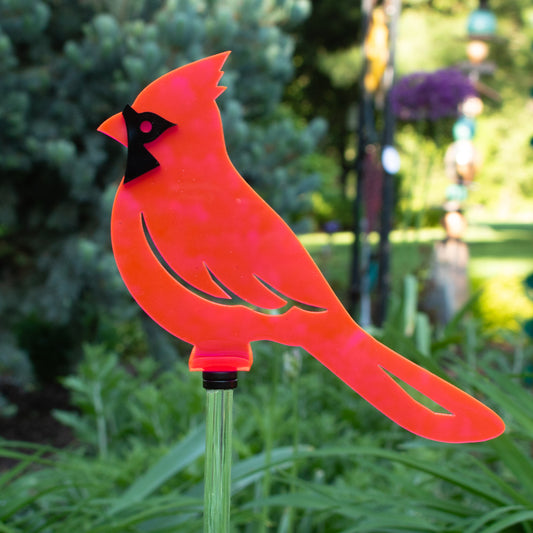 Cardinal - Fluorescent Pink