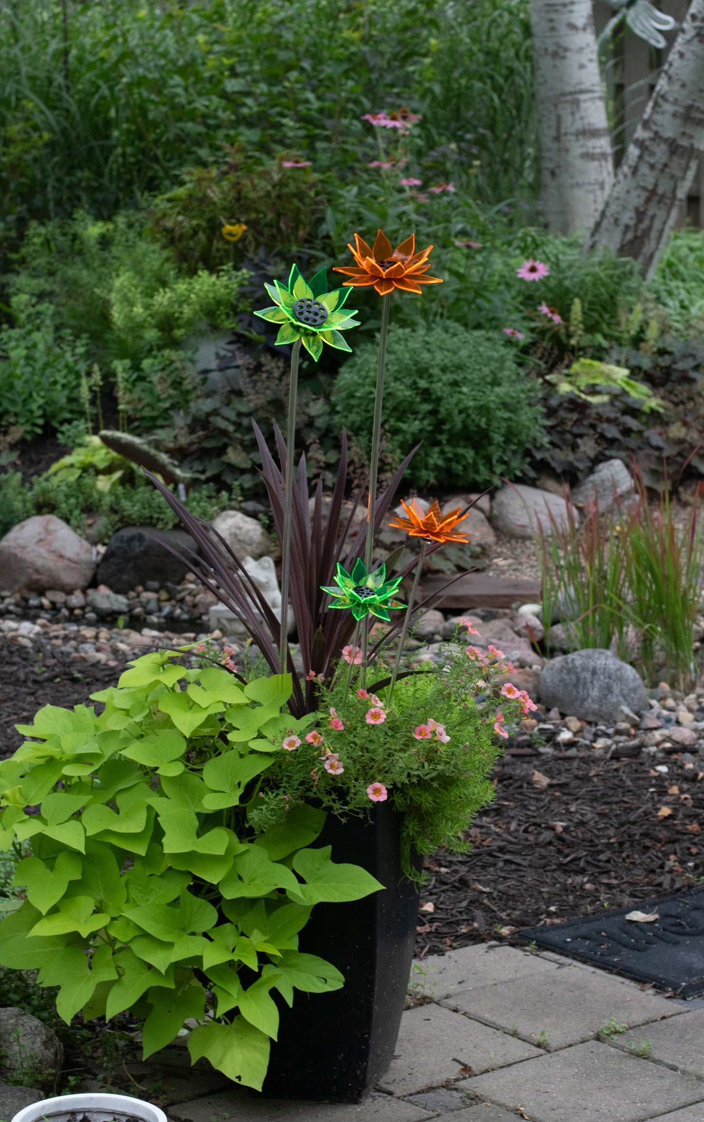 Orange Sunflower