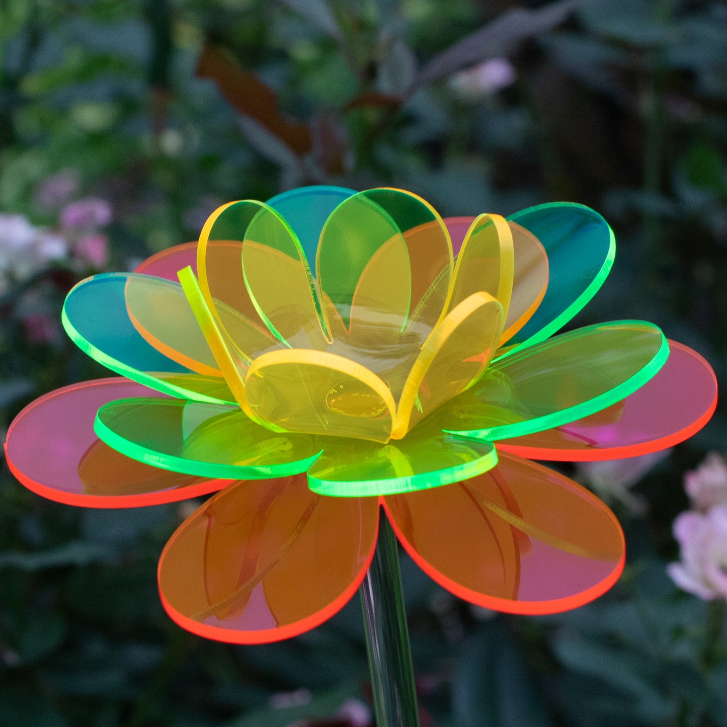 Spectrum Lotus