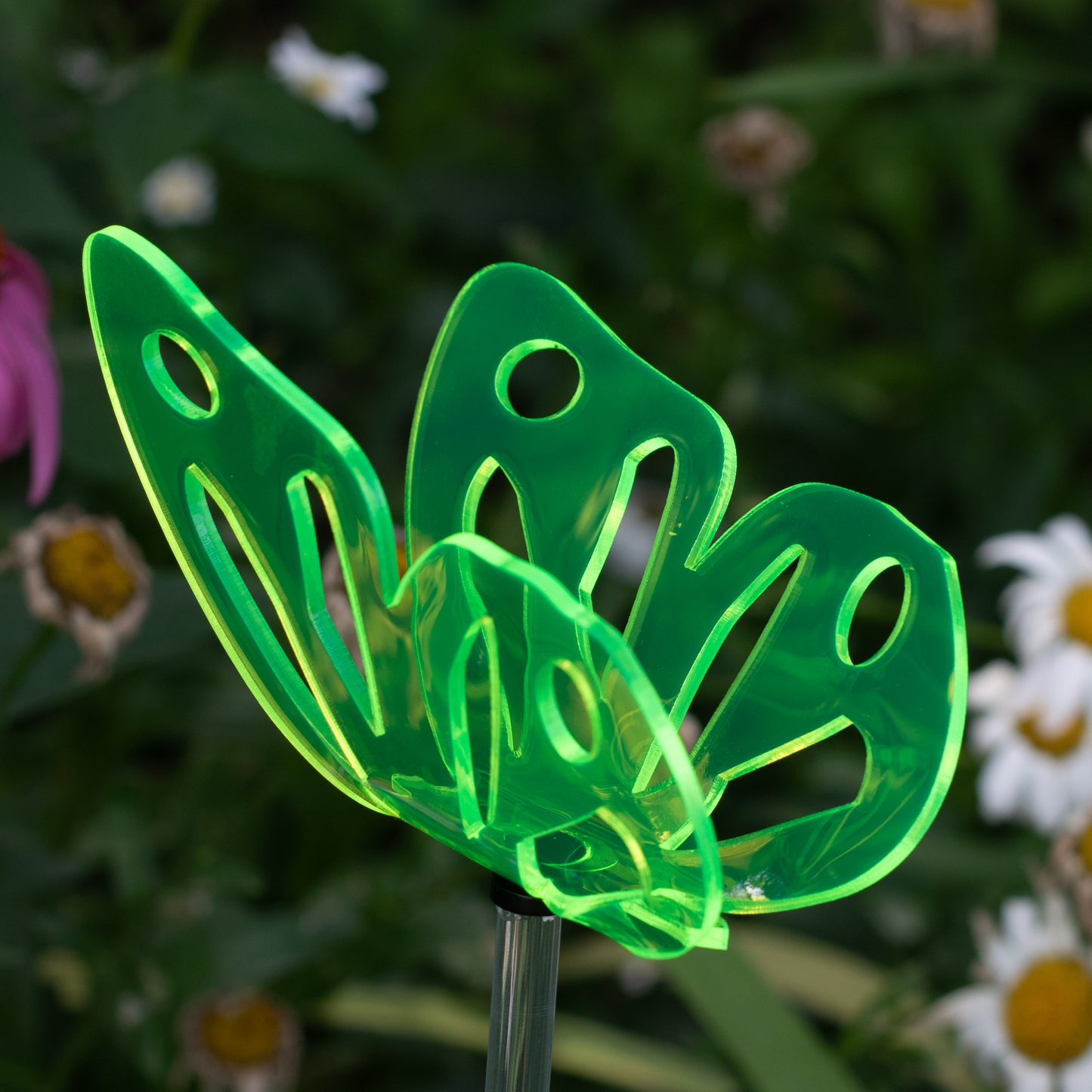 Butterfly Stake - Multi Colors