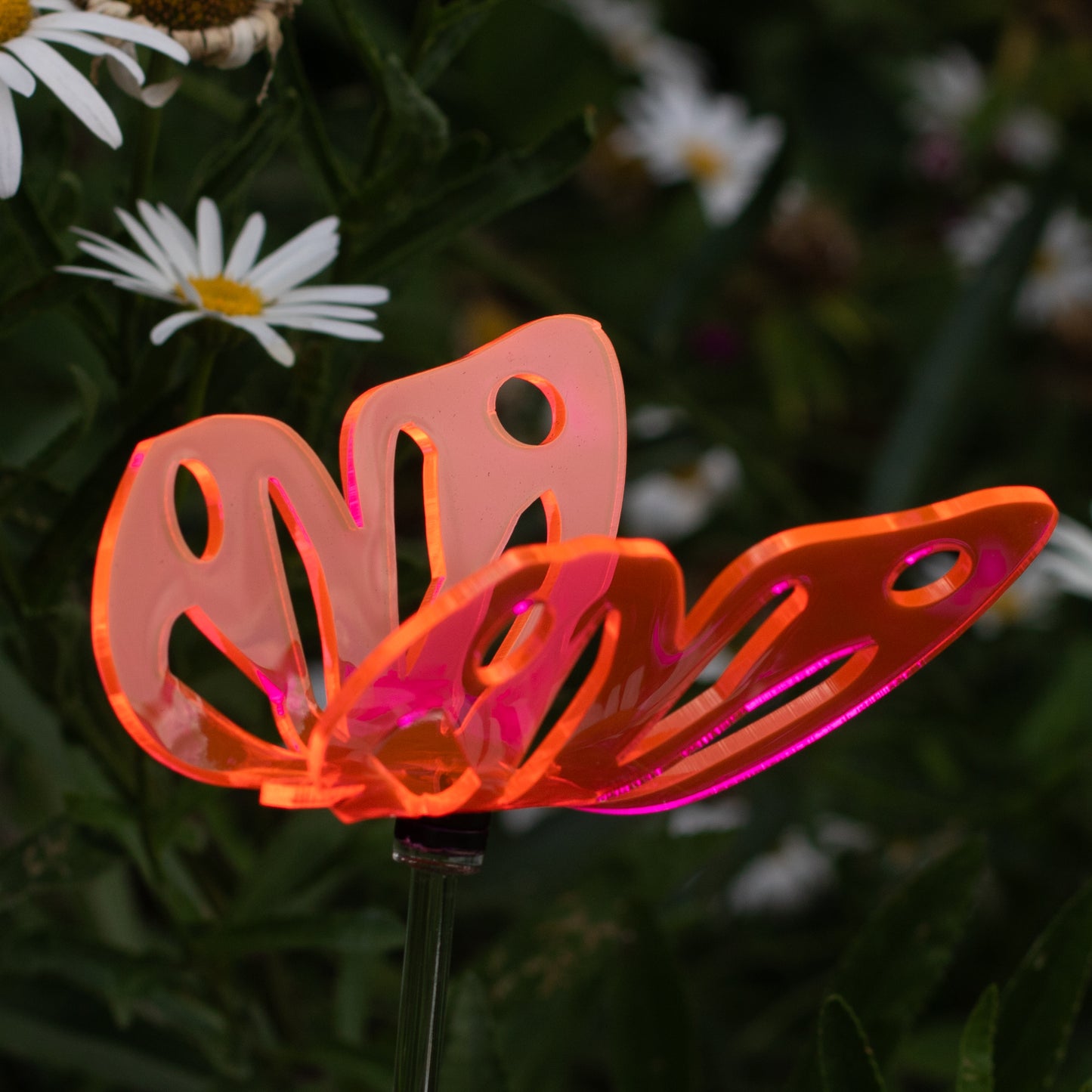 Butterfly Stake - Multi Colors