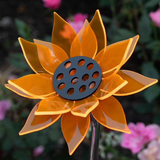 Orange Sunflower