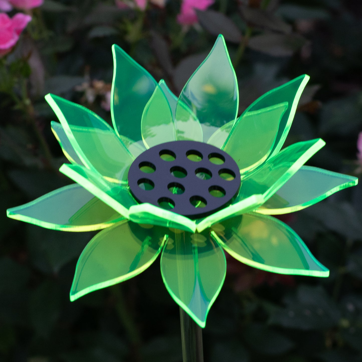 Green Sunflower