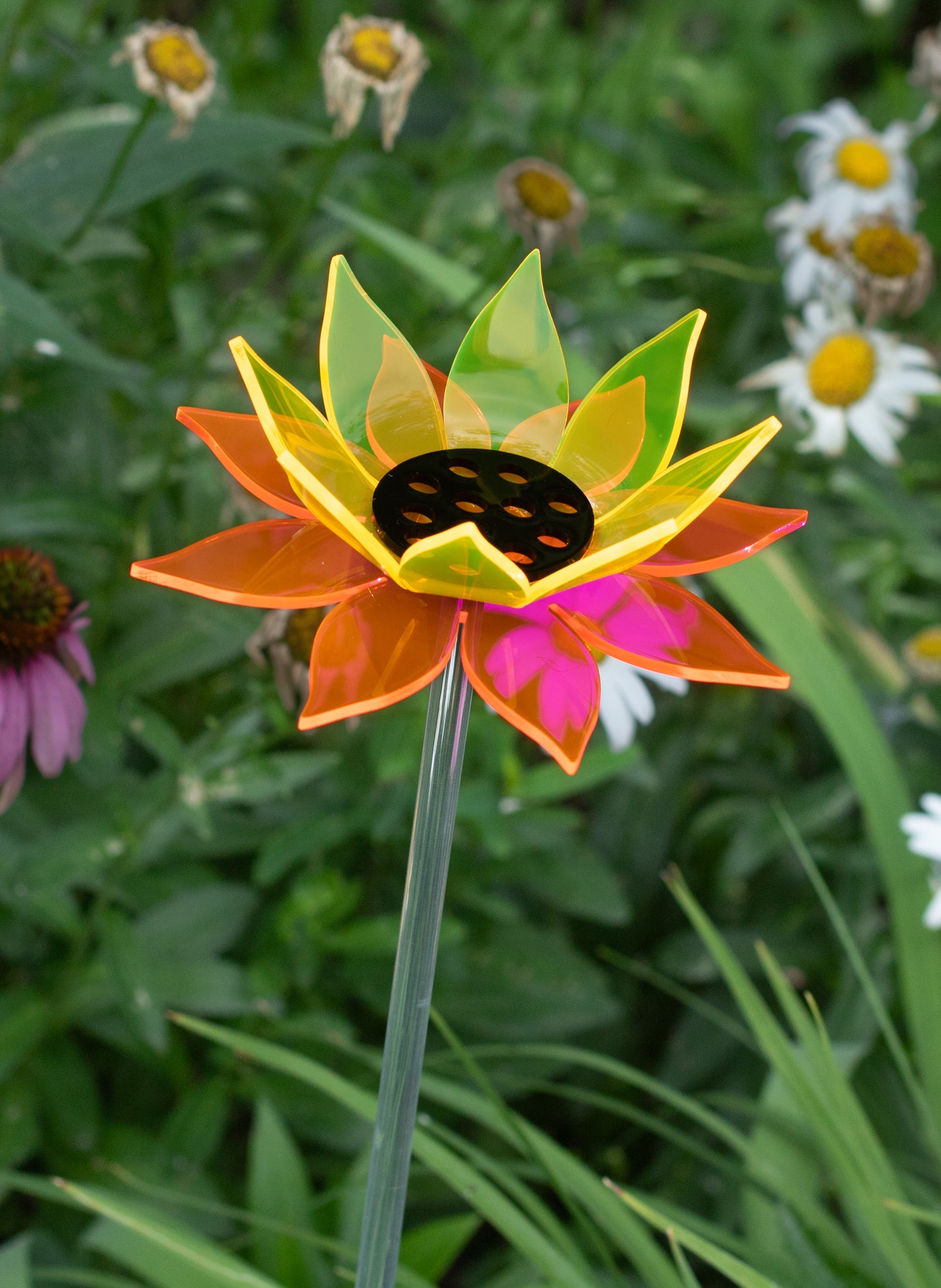 Color Blend Sunflower