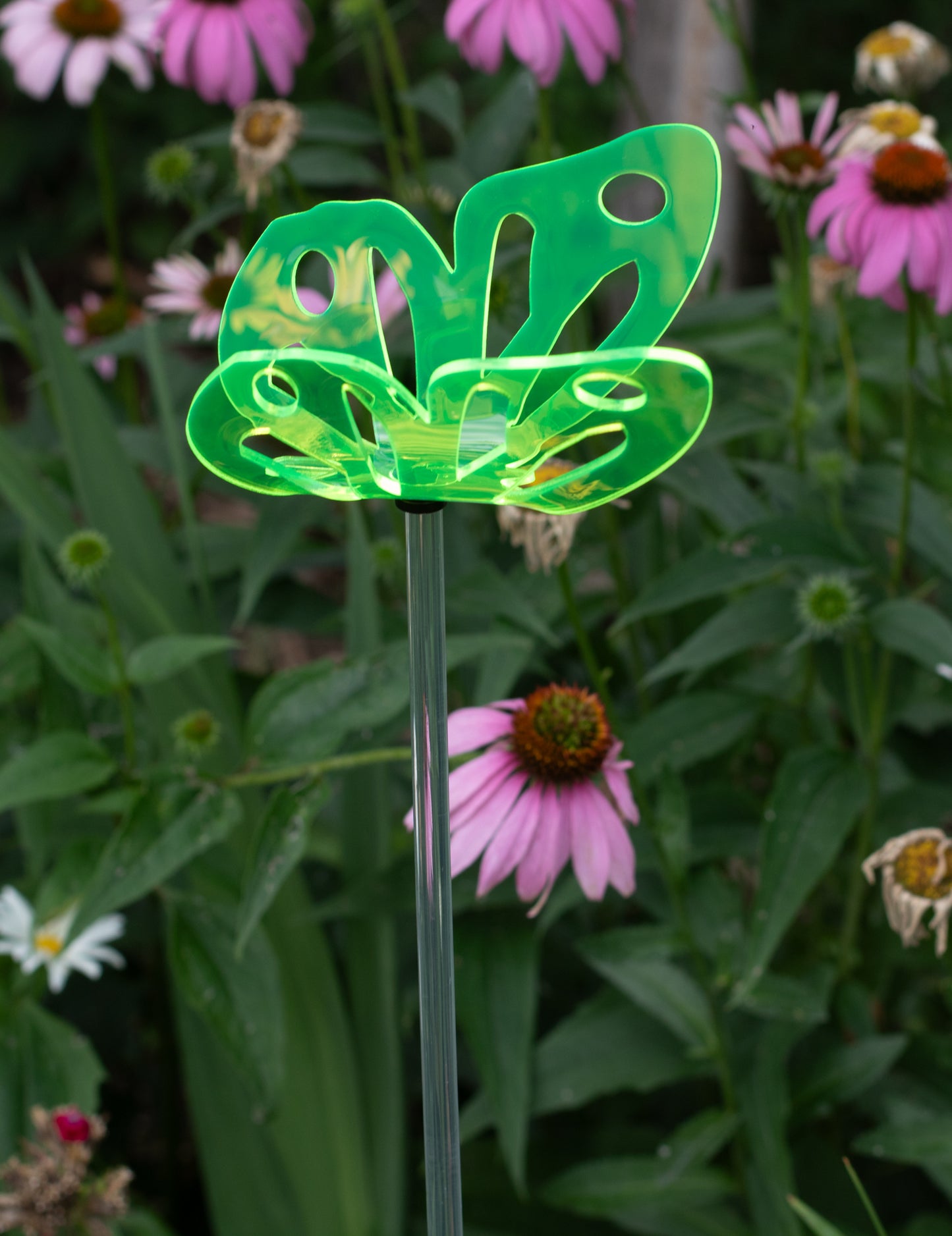 Butterfly Stake - Multi Colors