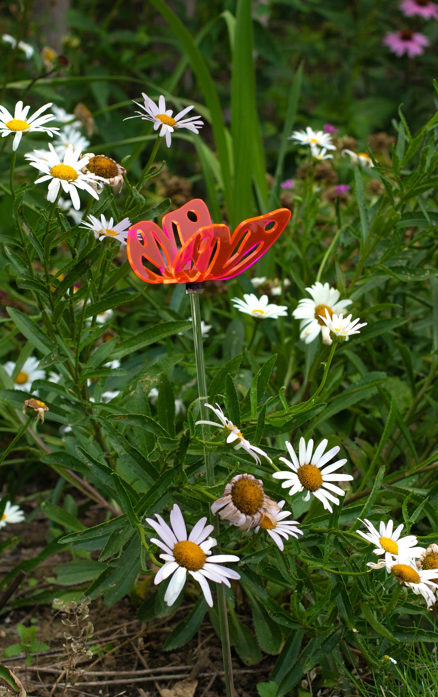 Butterfly Stake - Multi Colors