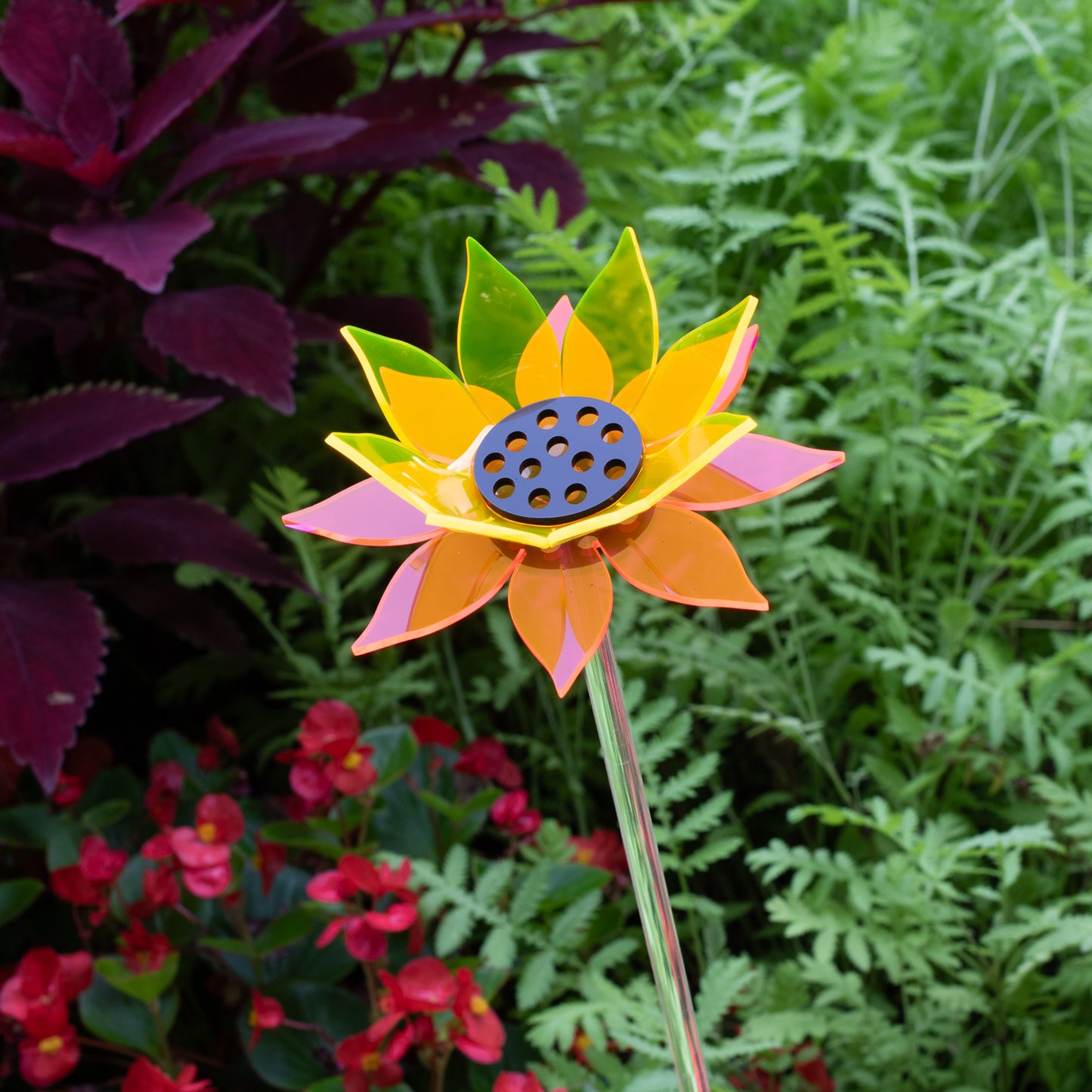 Color Blend Sunflower