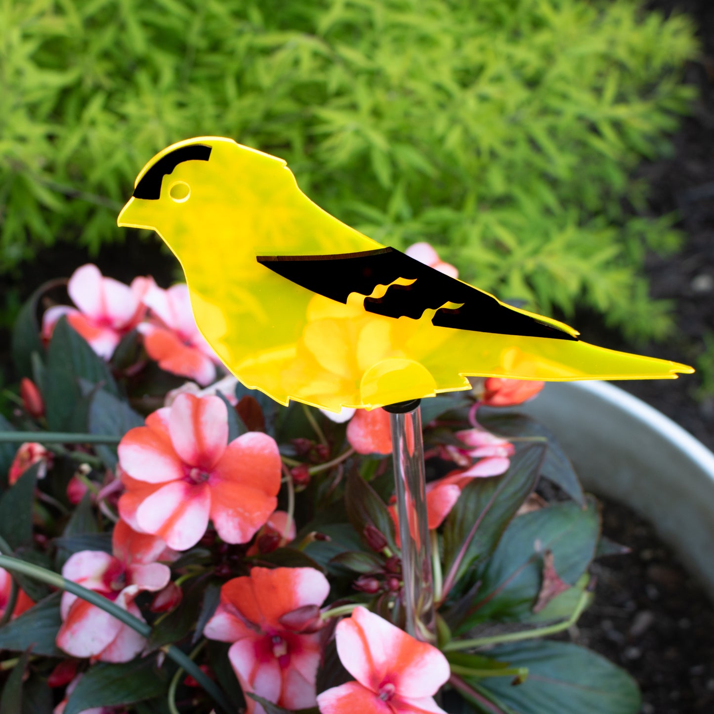 Gold Finch stake
