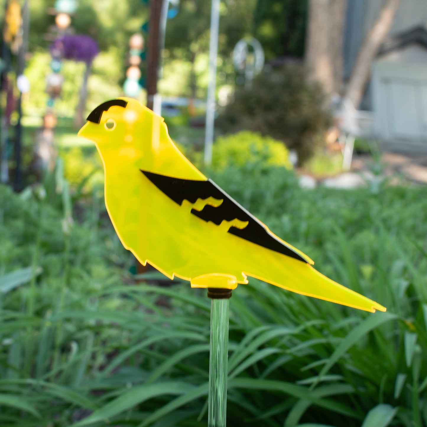 Gold Finch stake