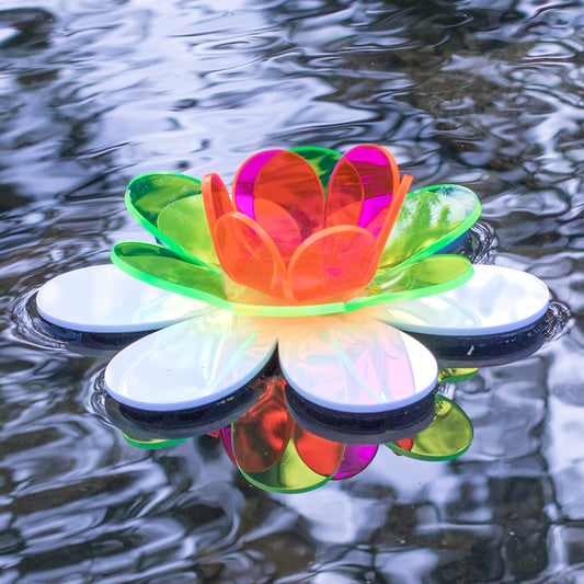 Floating Lotus - Green & pink