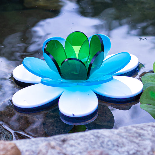 Floating Lotus - Peacock