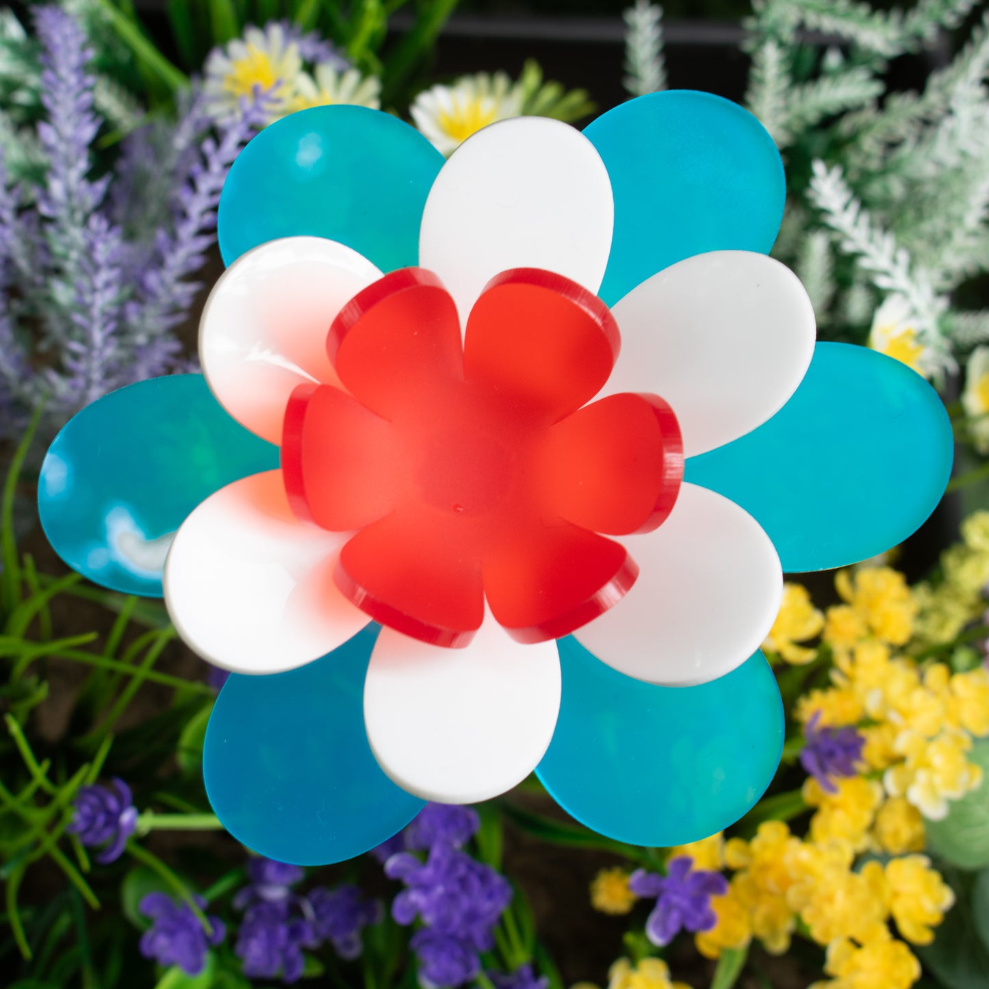 Patriotic Lotus