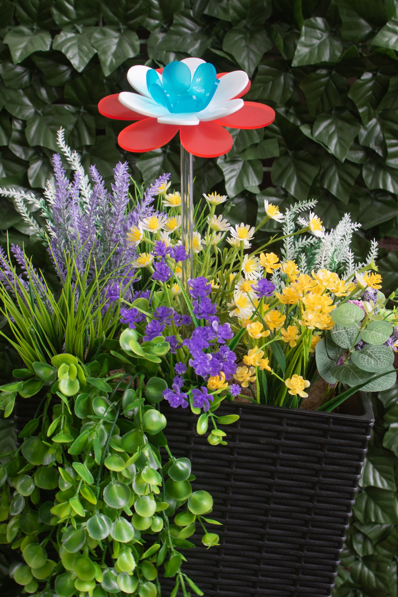 Patriotic Lotus