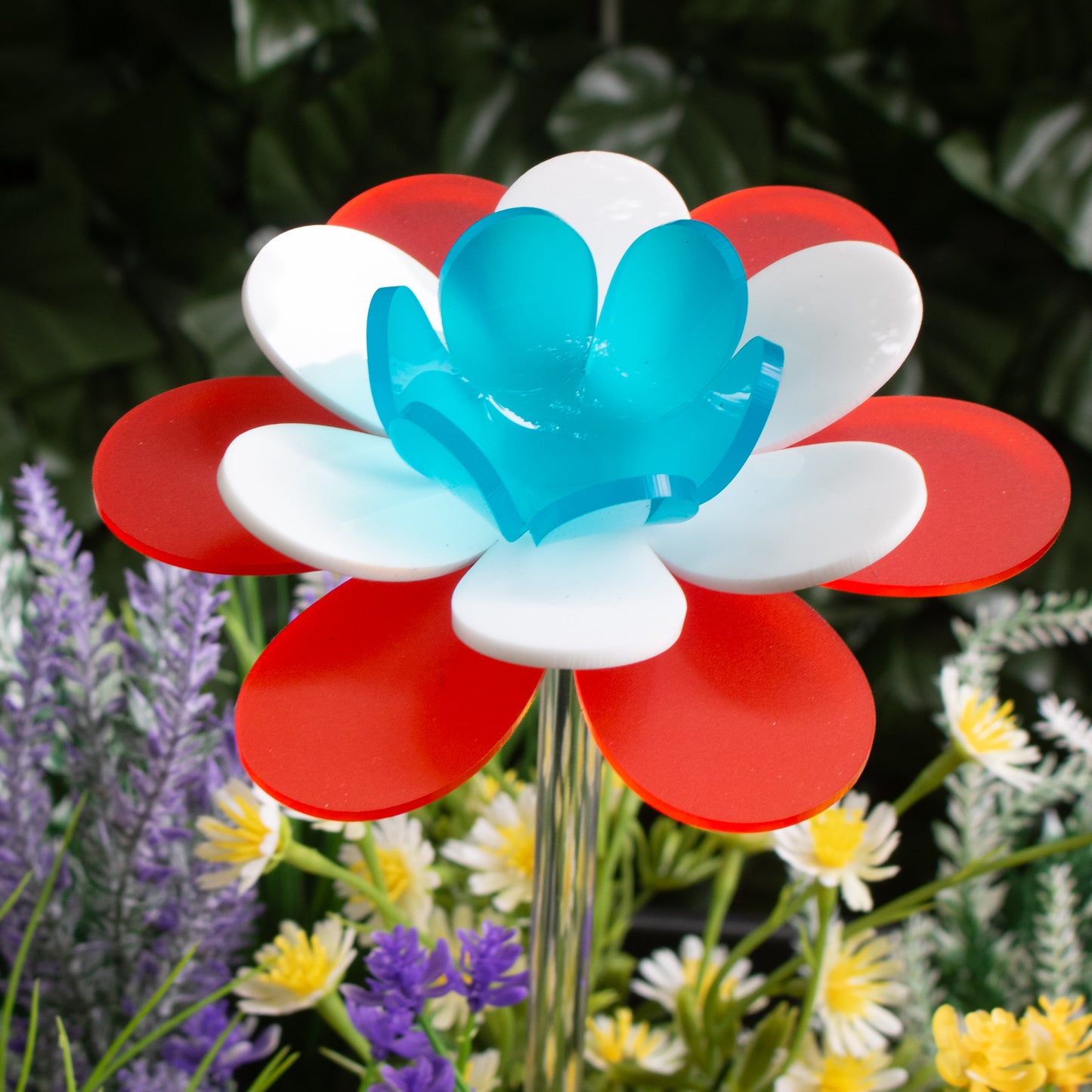 Patriotic Lotus