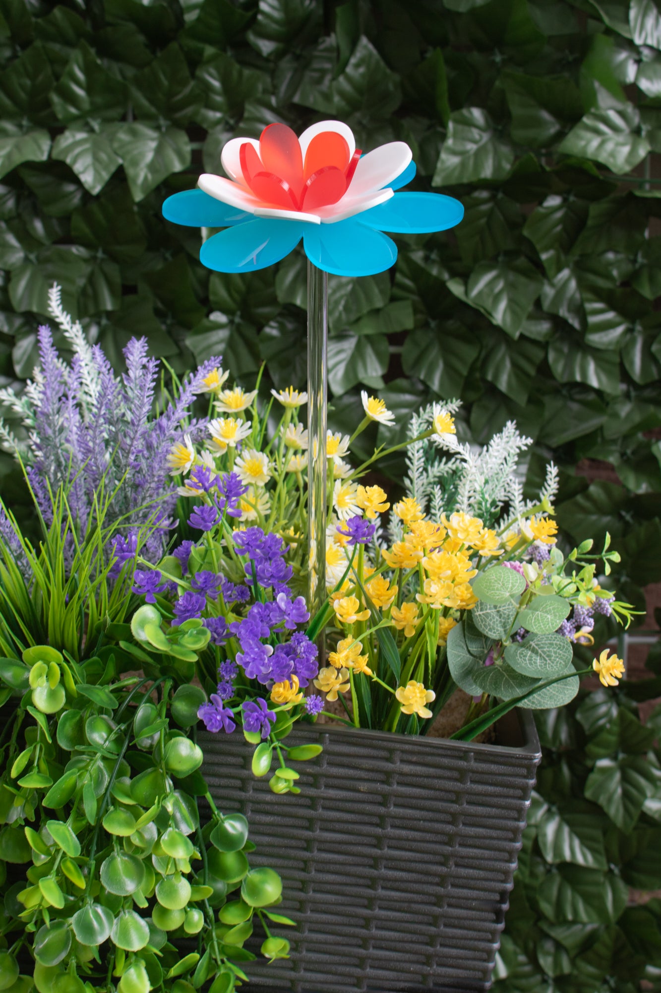 Patriotic Lotus