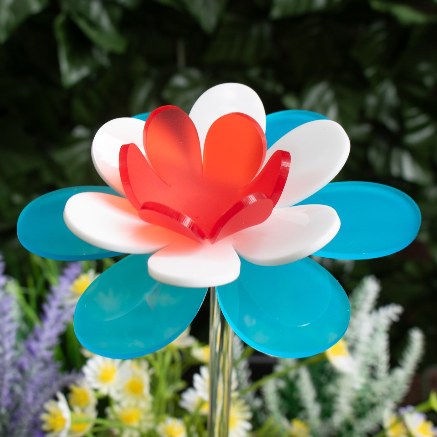 Patriotic Lotus