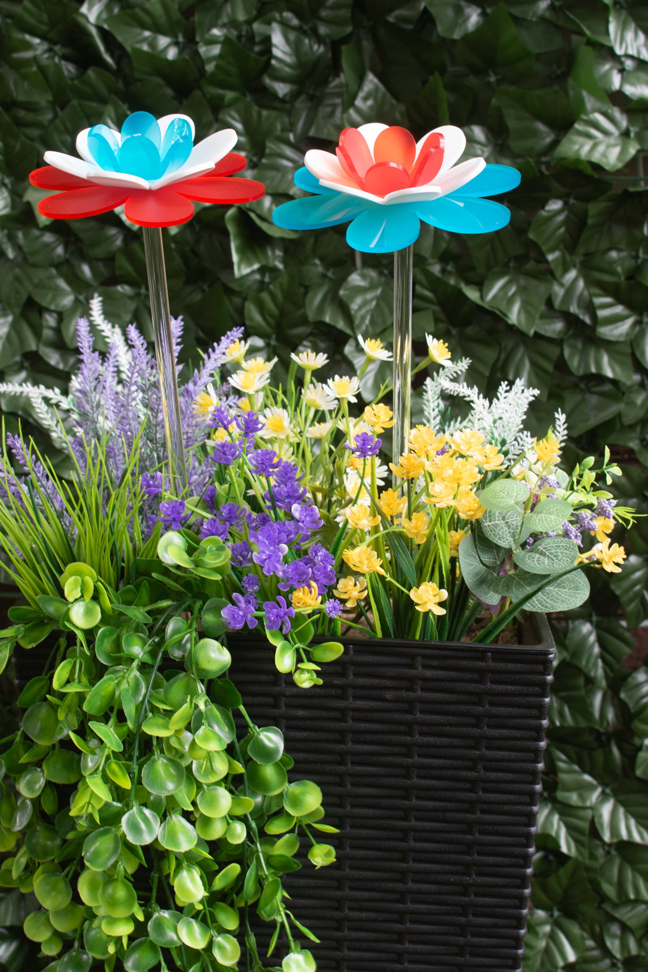 Patriotic Lotus