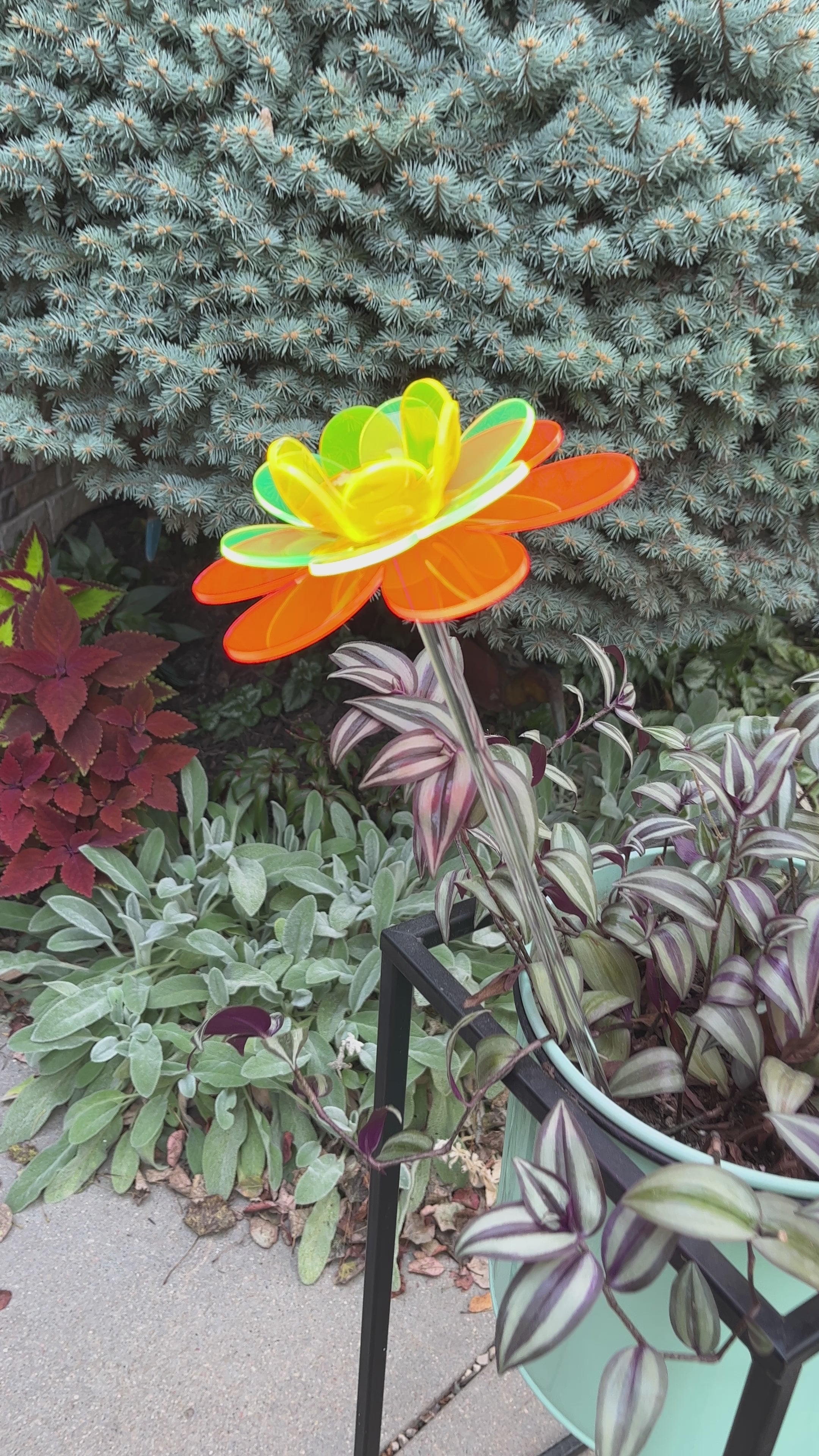 Fluorescent acrylic flower garden stake – The Colored Petal