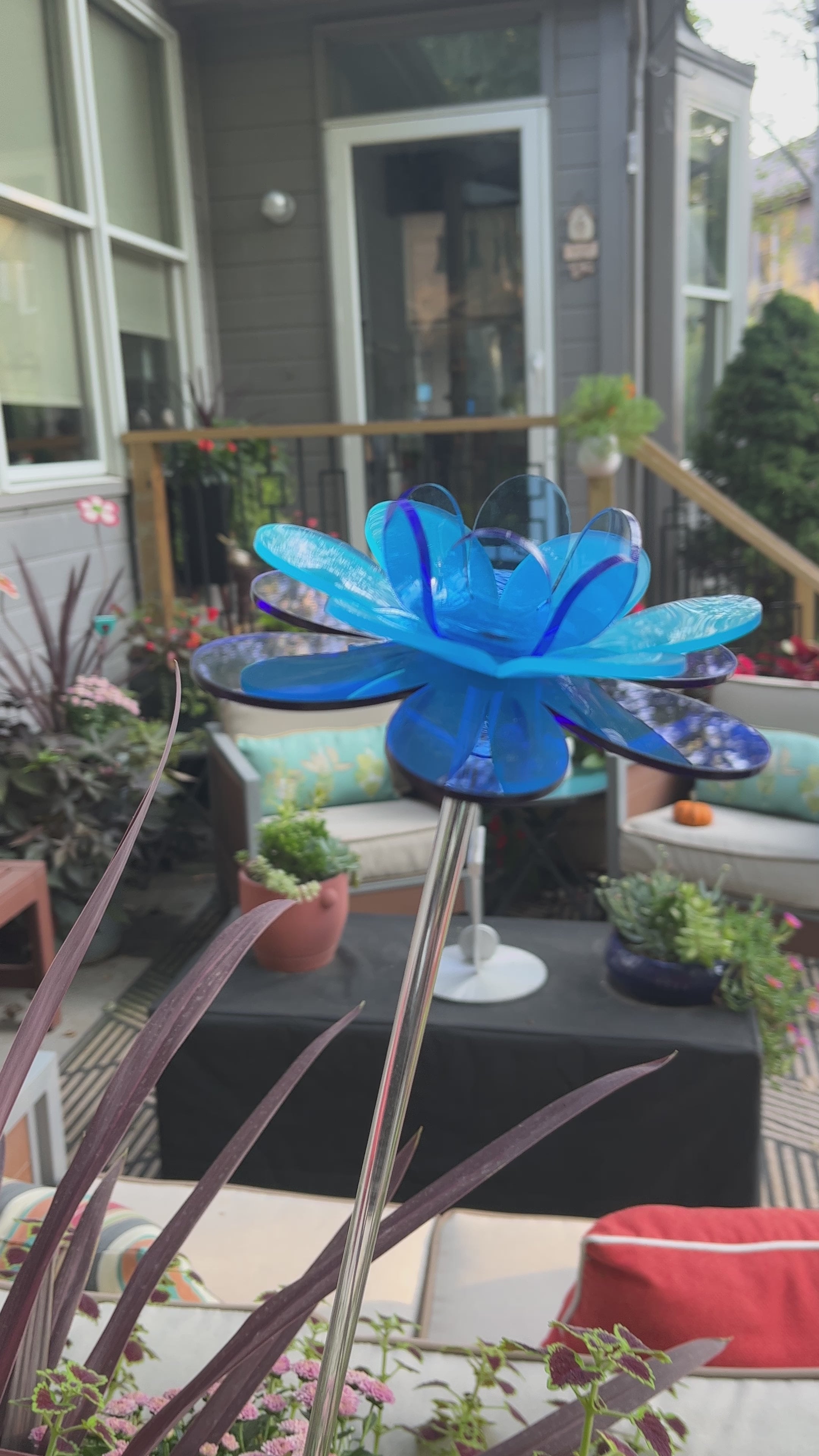 Diamond Lotus – The Colored Petal