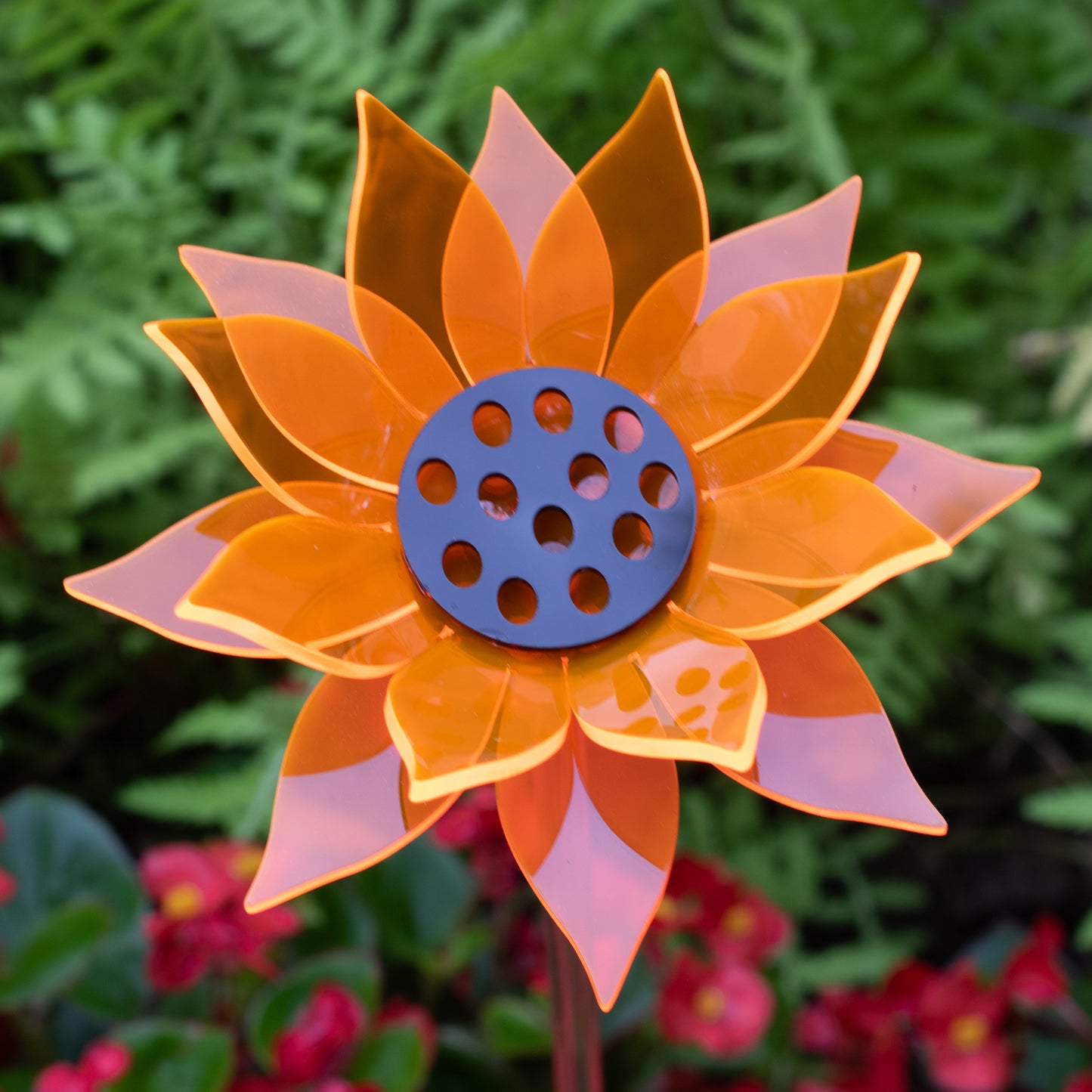 Orange Sunflower