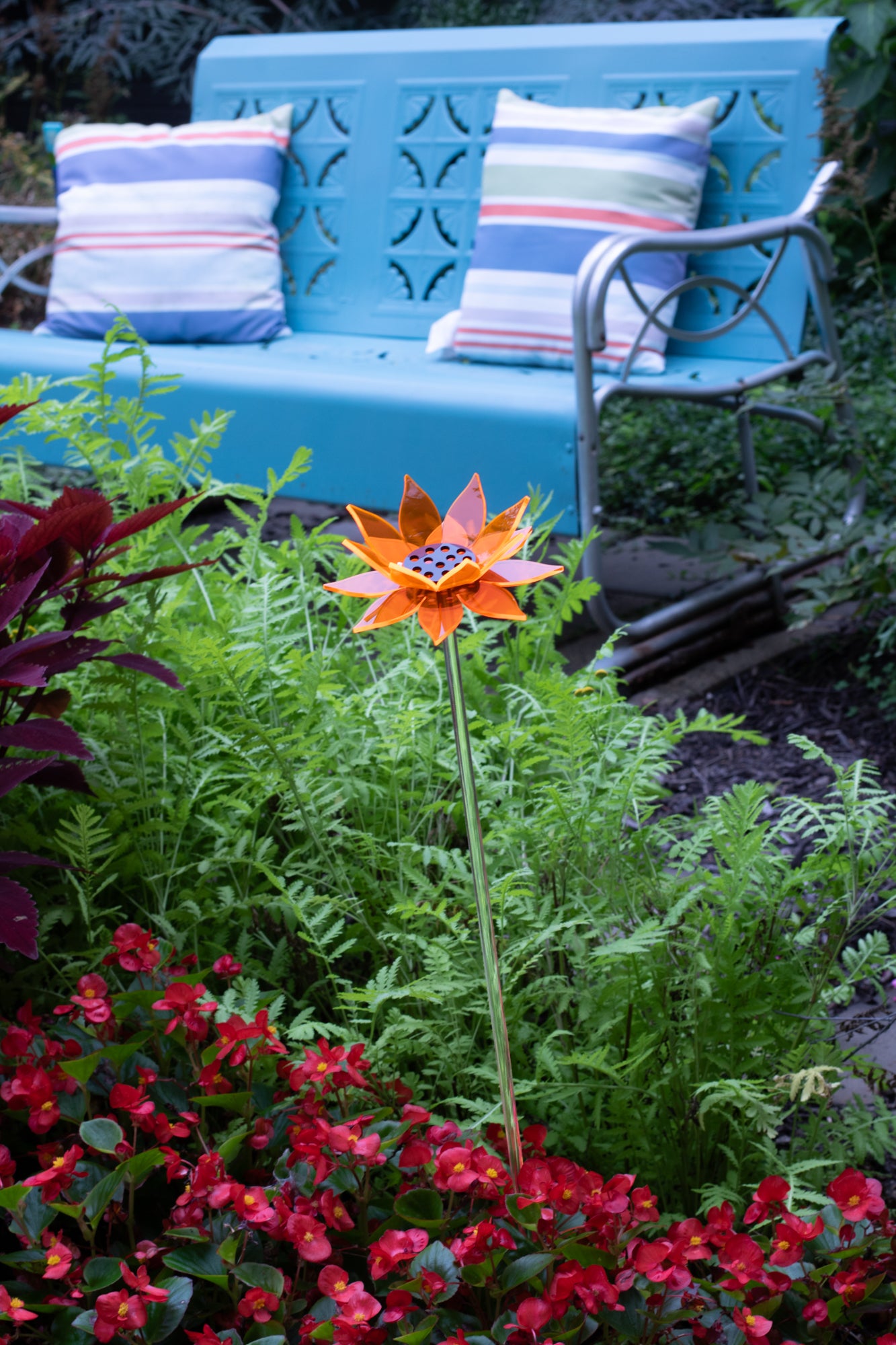 Orange Sunflower